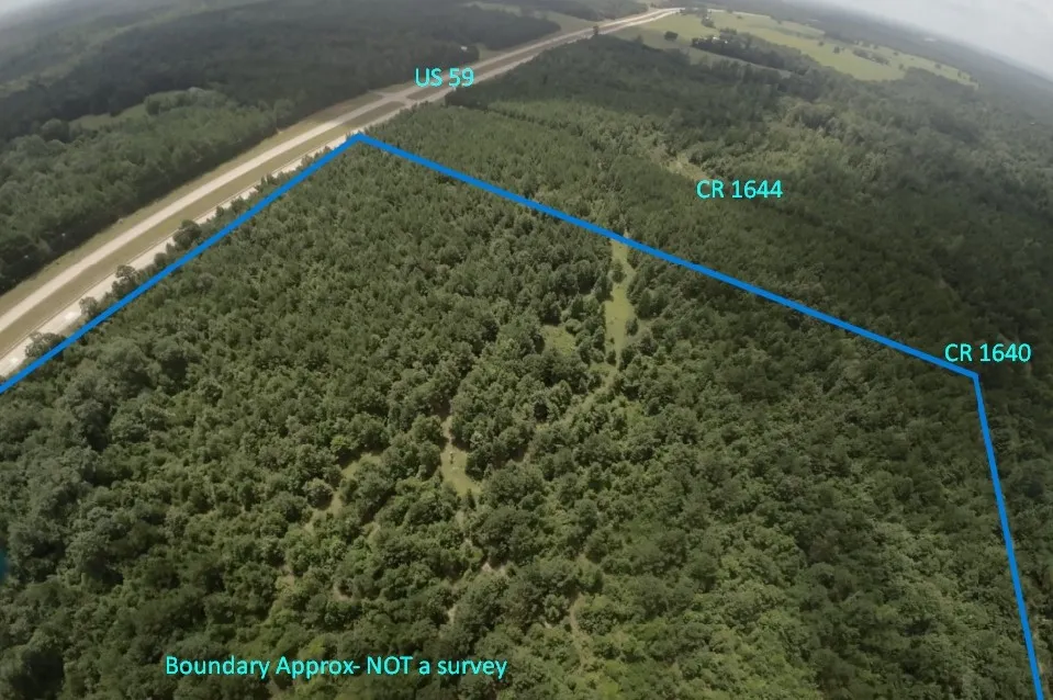 Unimproved Land For Sale in Cass County , TBD CR 1640, Jefferson, Texas 75657, 0, 0, Garage spaces, 0 Sqft, built in 0, Price $168,000, mls#21323599, Real Estate Agent in Jefferson, Homes For Sale in Cass county, Homes For Sale in Jefferson, Realtor in Jefferson Texas, Real Estate Brokerage Independent Realty Texas, Luminita Cordes Realtor