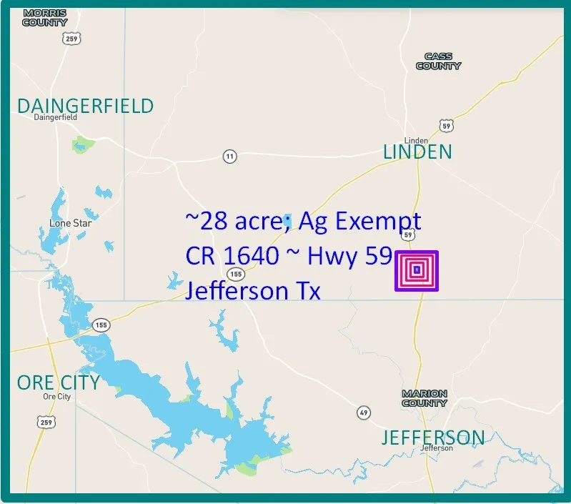 Unimproved Land For Sale in Cass County , TBD CR 1640, Jefferson, Texas 75657, 0, 0, Garage spaces, 0 Sqft, built in 0, Price $168,000, mls#21323599, Real Estate Agent in Jefferson, Homes For Sale in Cass county, Homes For Sale in Jefferson, Realtor in Jefferson Texas, Real Estate Brokerage Independent Realty Texas, Luminita Cordes Realtor