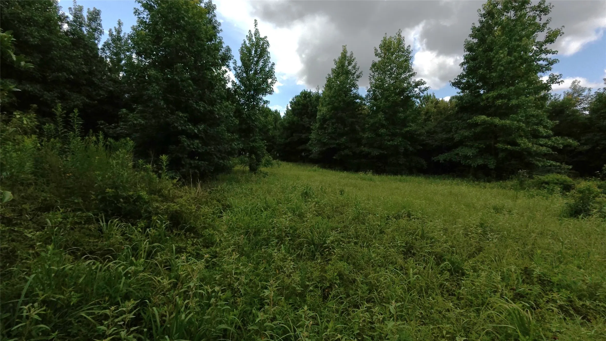 Unimproved Land For Sale in Cass County , TBD CR 1640, Jefferson, Texas 75657, 0, 0, Garage spaces, 0 Sqft, built in 0, Price $168,000, mls#21323599, Real Estate Agent in Jefferson, Homes For Sale in Cass county, Homes For Sale in Jefferson, Realtor in Jefferson Texas, Real Estate Brokerage Independent Realty Texas, Luminita Cordes Realtor