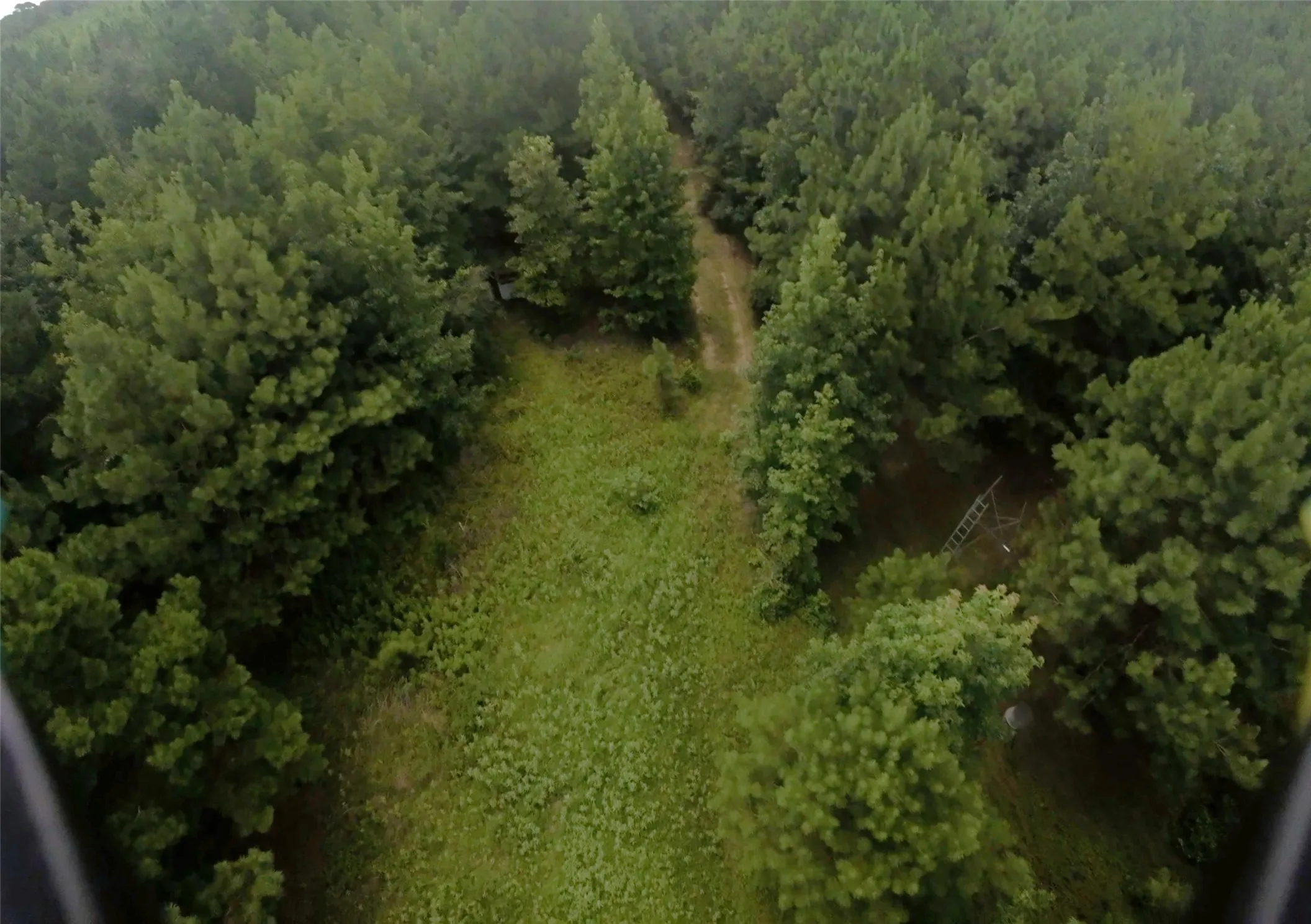 Unimproved Land For Sale in Cass County , TBD CR 1640, Jefferson, Texas 75657, 0, 0, Garage spaces, 0 Sqft, built in 0, Price $168,000, mls#21323599, Real Estate Agent in Jefferson, Homes For Sale in Cass county, Homes For Sale in Jefferson, Realtor in Jefferson Texas, Real Estate Brokerage Independent Realty Texas, Luminita Cordes Realtor