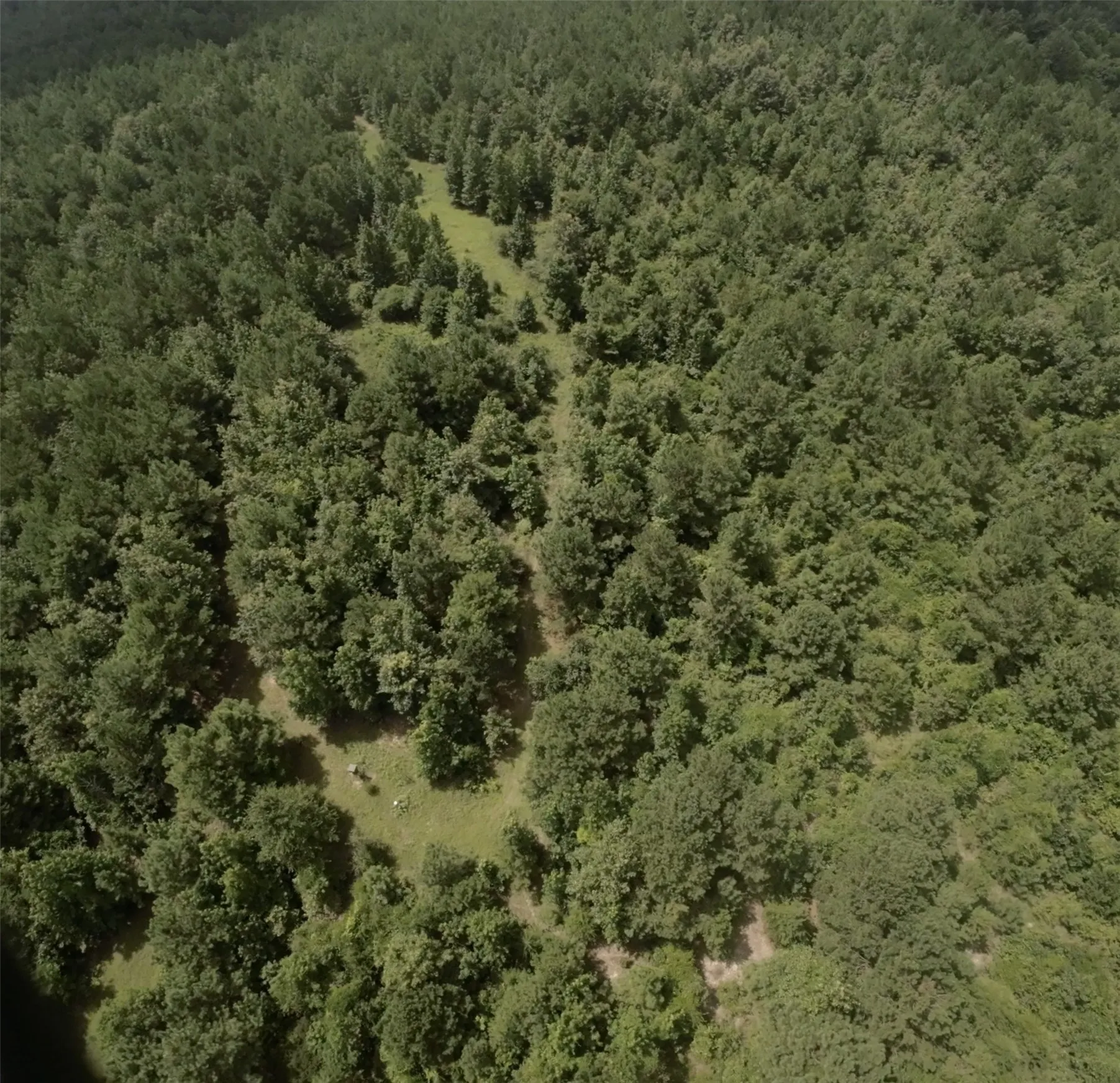Unimproved Land For Sale in Cass County , TBD CR 1640, Jefferson, Texas 75657, 0, 0, Garage spaces, 0 Sqft, built in 0, Price $168,000, mls#21323599, Real Estate Agent in Jefferson, Homes For Sale in Cass county, Homes For Sale in Jefferson, Realtor in Jefferson Texas, Real Estate Brokerage Independent Realty Texas, Luminita Cordes Realtor