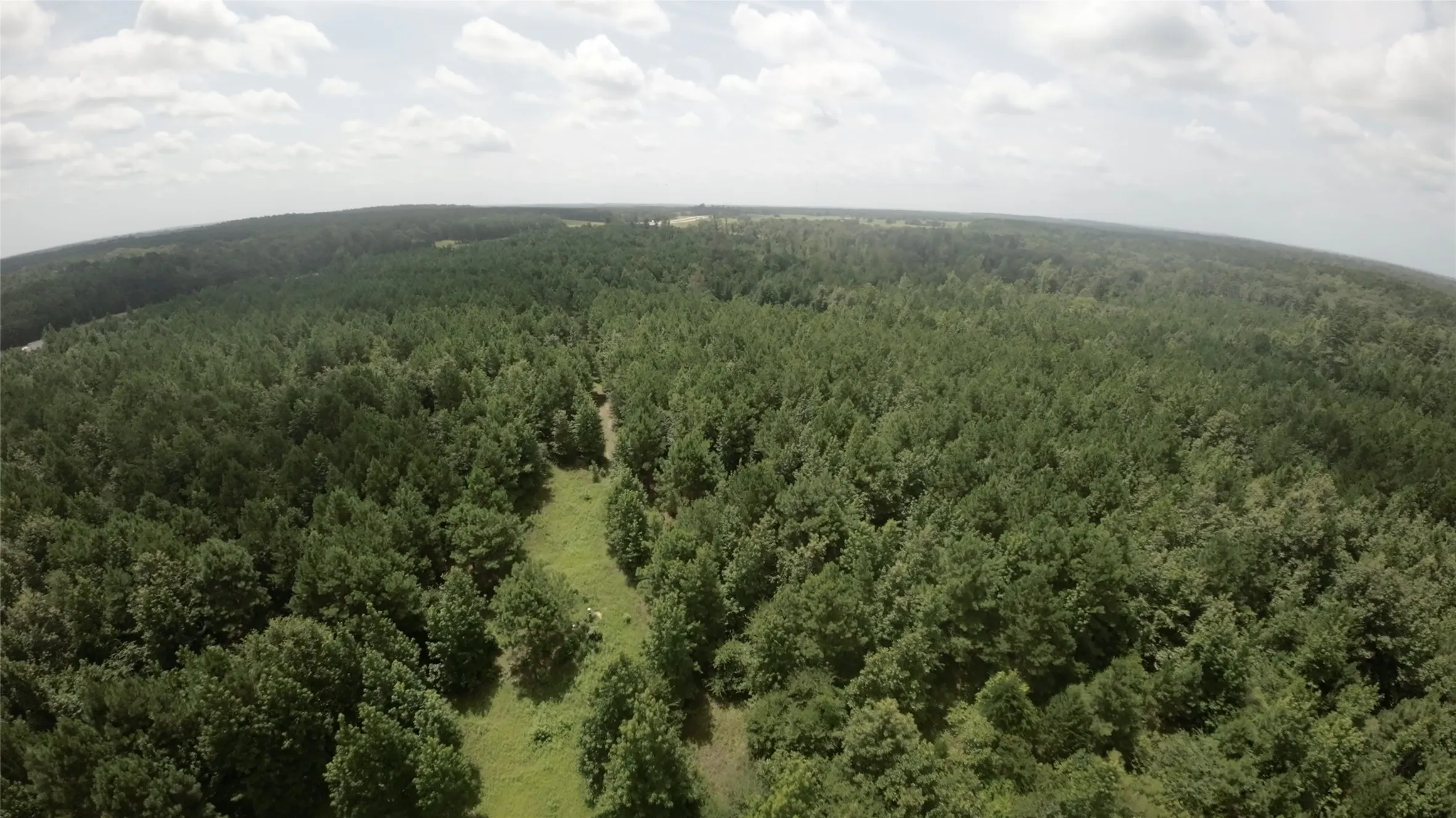 Unimproved Land For Sale in Cass County , TBD CR 1640, Jefferson, Texas 75657, 0, 0, Garage spaces, 0 Sqft, built in 0, Price $168,000, mls#21323599, Real Estate Agent in Jefferson, Homes For Sale in Cass county, Homes For Sale in Jefferson, Realtor in Jefferson Texas, Real Estate Brokerage Independent Realty Texas, Luminita Cordes Realtor