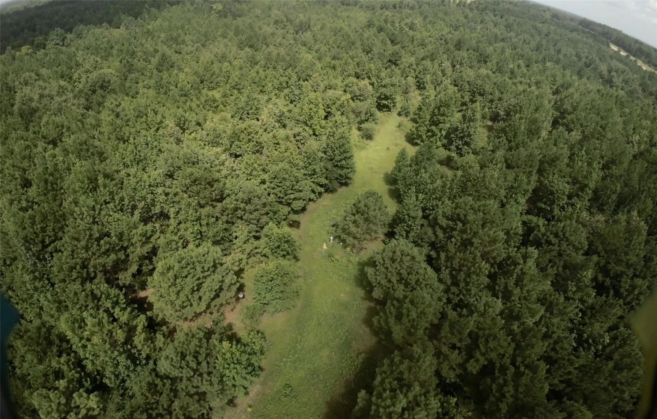 Unimproved Land For Sale in Cass County , TBD CR 1640, Jefferson, Texas 75657, 0, 0, Garage spaces, 0 Sqft, built in 0, Price $168,000, mls#21323599, Real Estate Agent in Jefferson, Homes For Sale in Cass county, Homes For Sale in Jefferson, Realtor in Jefferson Texas, Real Estate Brokerage Independent Realty Texas, Luminita Cordes Realtor