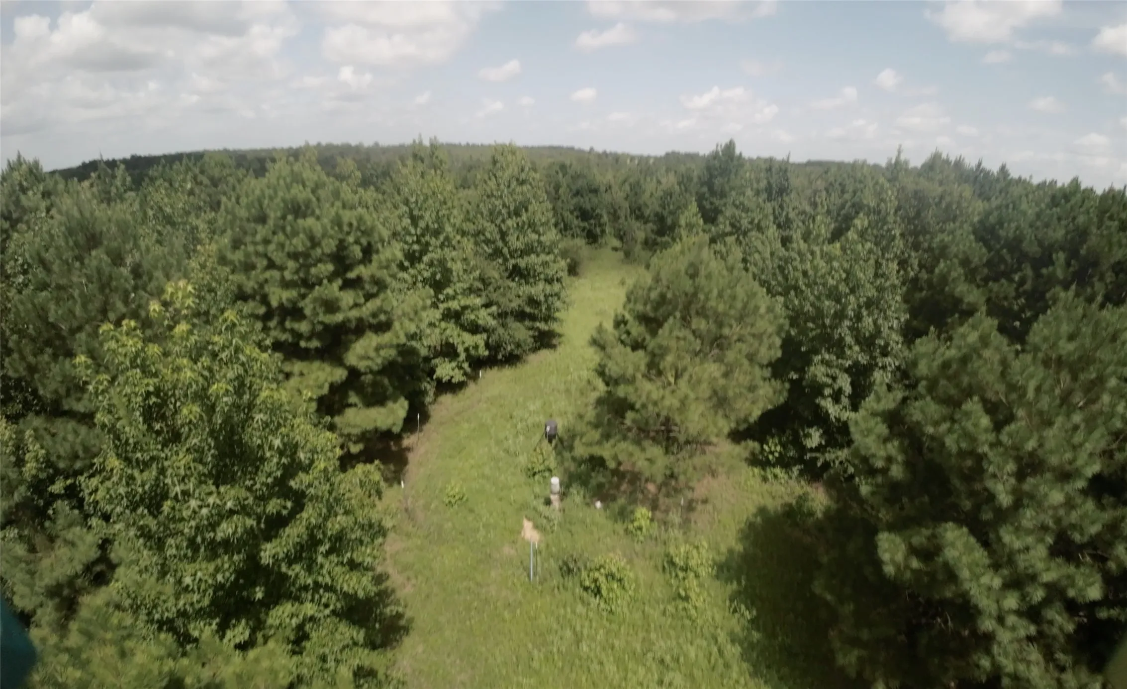 Unimproved Land For Sale in Cass County , TBD CR 1640, Jefferson, Texas 75657, 0, 0, Garage spaces, 0 Sqft, built in 0, Price $168,000, mls#21323599, Real Estate Agent in Jefferson, Homes For Sale in Cass county, Homes For Sale in Jefferson, Realtor in Jefferson Texas, Real Estate Brokerage Independent Realty Texas, Luminita Cordes Realtor