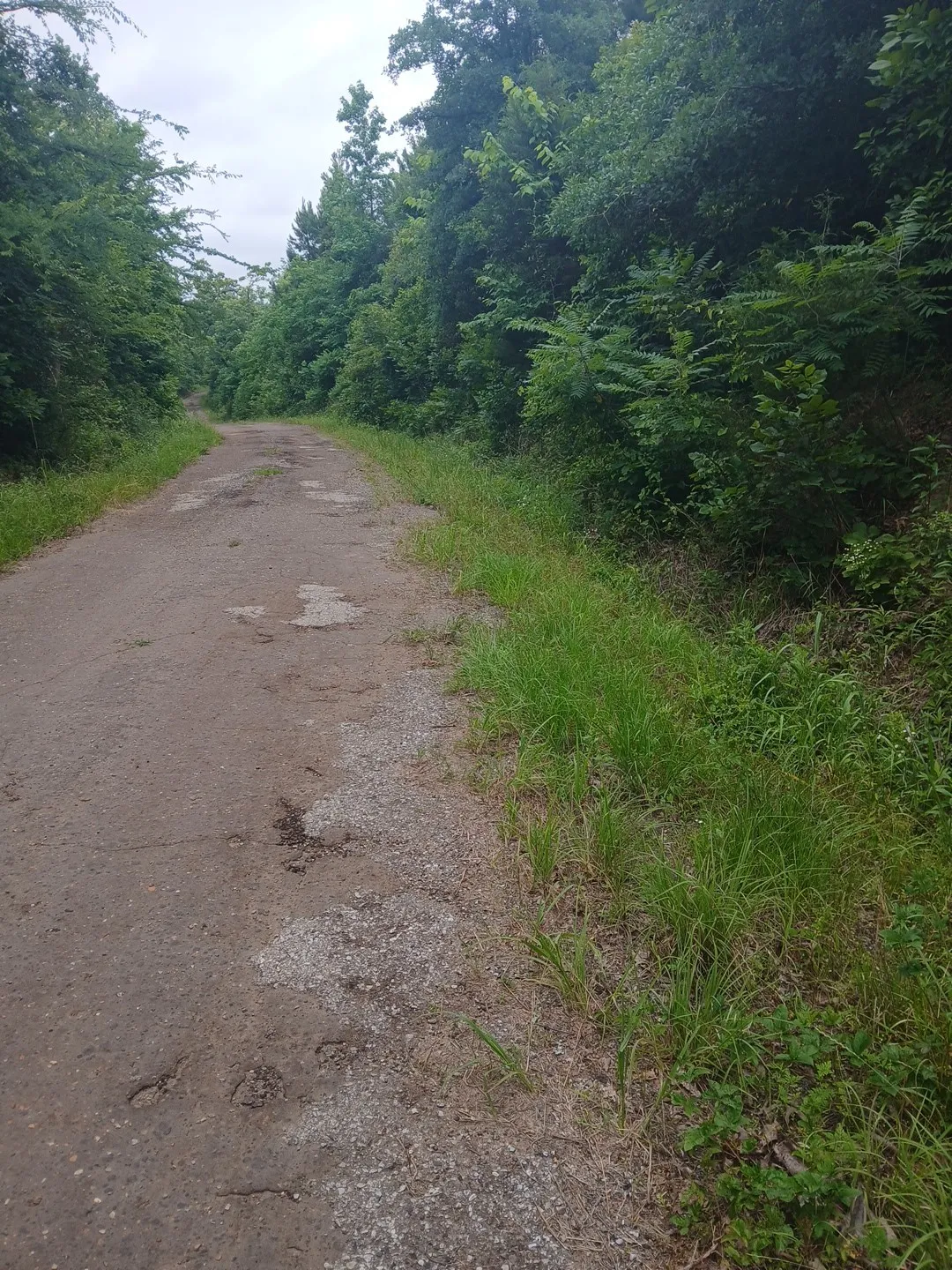 CR 1640