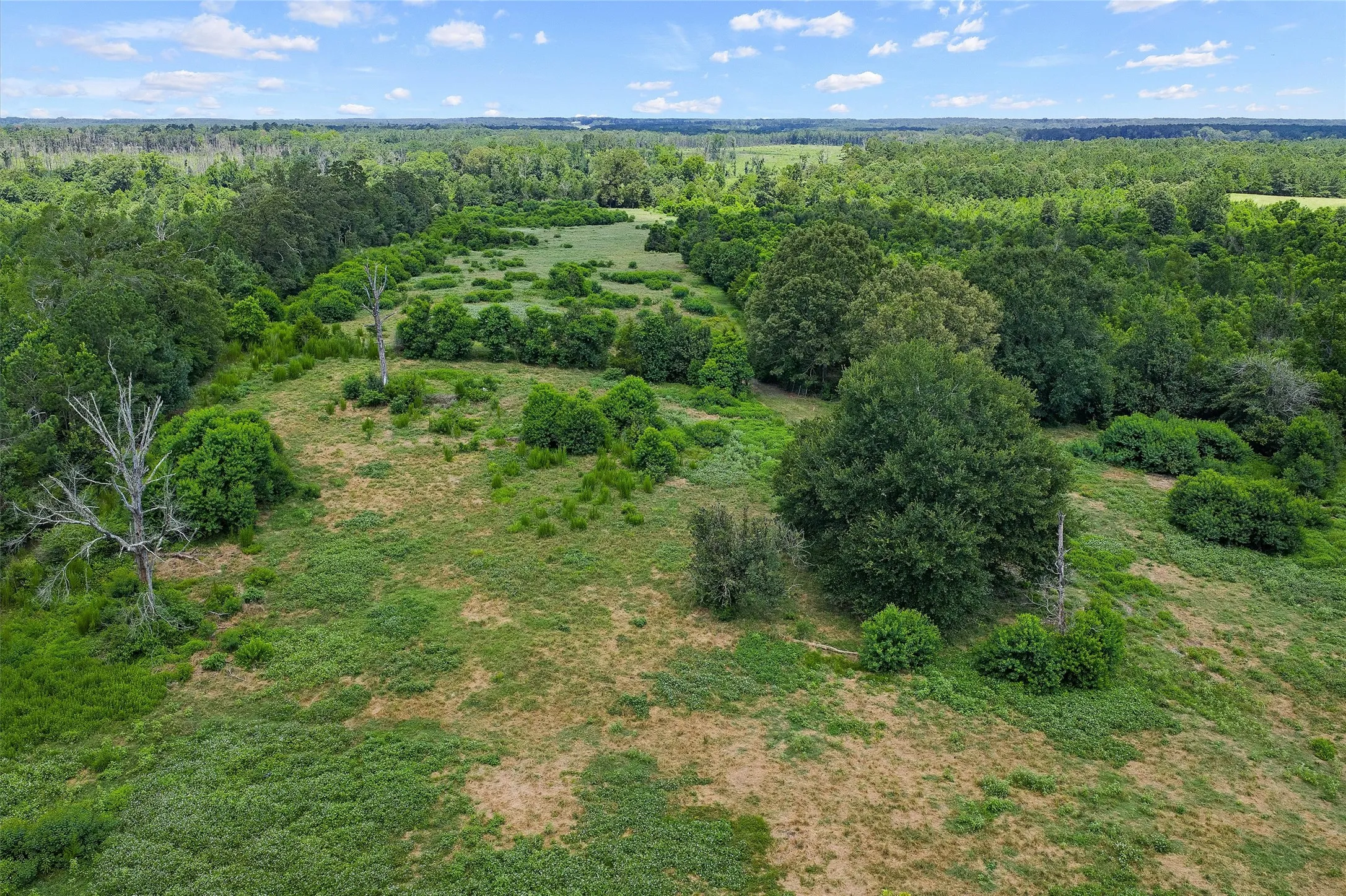 Unimproved Land For Sale in Shelby County , 589 US Highway 84 E, Tenaha, Texas 75974, 0, 0, Garage spaces, 0 Sqft, built in 0, mls#21317768, Real Estate Agent in Tenaha, Homes For Sale in Shelby county, Homes For Sale in Tenaha, Realtor in Tenaha Texas, Real Estate Brokerage Independent Realty Texas, Luminita Cordes Realtor