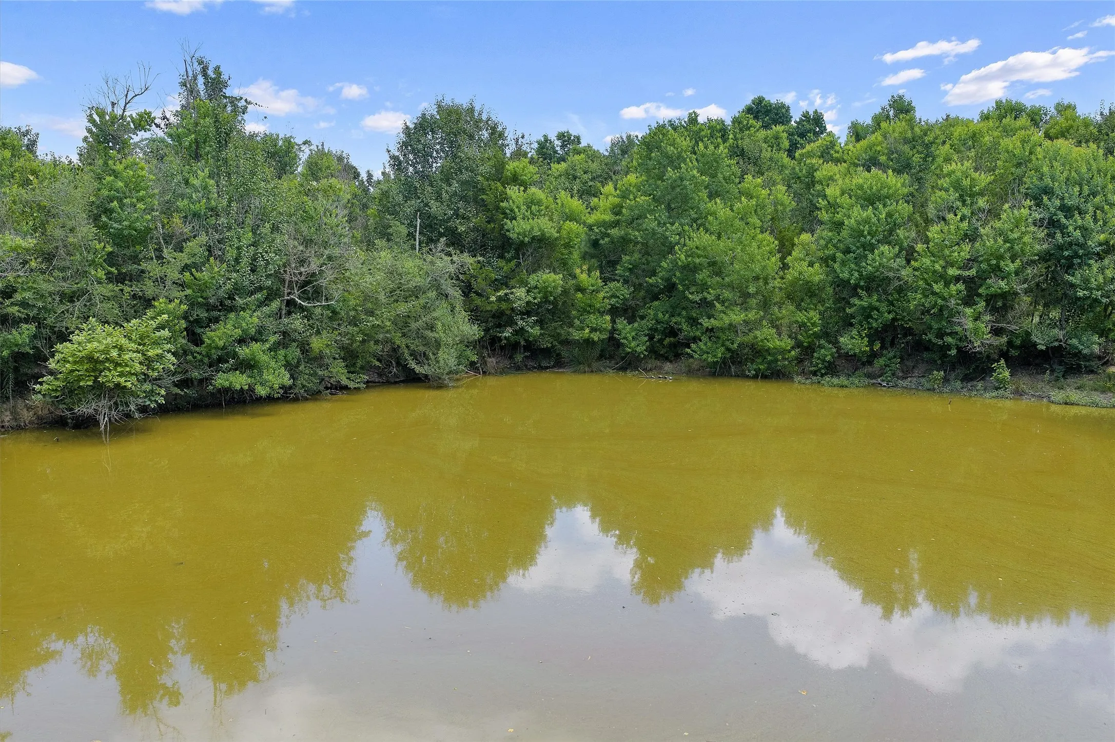 Unimproved Land For Sale in Shelby County , 589 US Highway 84 E, Tenaha, Texas 75974, 0, 0, Garage spaces, 0 Sqft, built in 0, mls#21317768, Real Estate Agent in Tenaha, Homes For Sale in Shelby county, Homes For Sale in Tenaha, Realtor in Tenaha Texas, Real Estate Brokerage Independent Realty Texas, Luminita Cordes Realtor