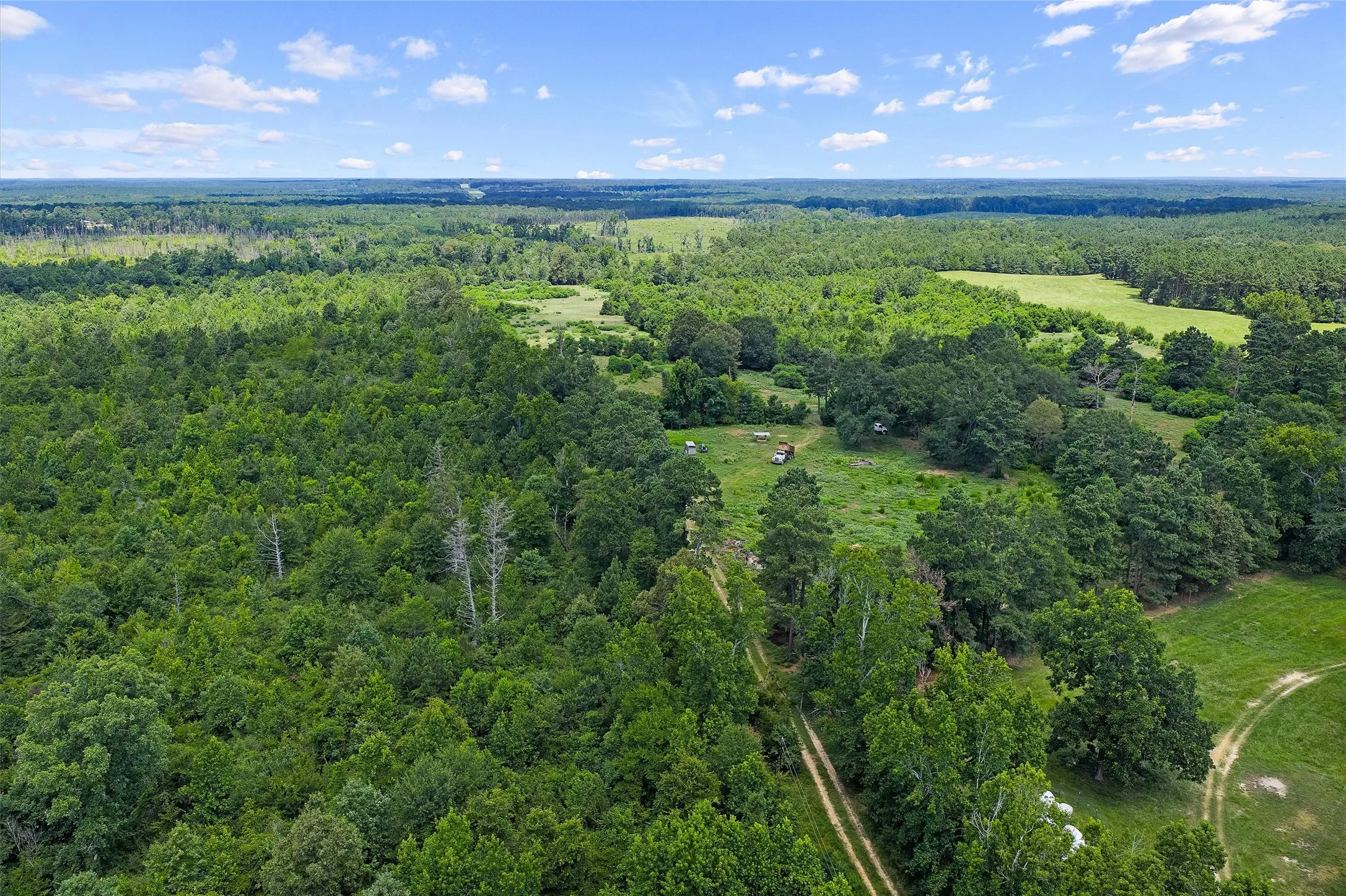 Unimproved Land For Sale in Shelby County , 589 US Highway 84 E, Tenaha, Texas 75974, 0, 0, Garage spaces, 0 Sqft, built in 0, mls#21317768, Real Estate Agent in Tenaha, Homes For Sale in Shelby county, Homes For Sale in Tenaha, Realtor in Tenaha Texas, Real Estate Brokerage Independent Realty Texas, Luminita Cordes Realtor