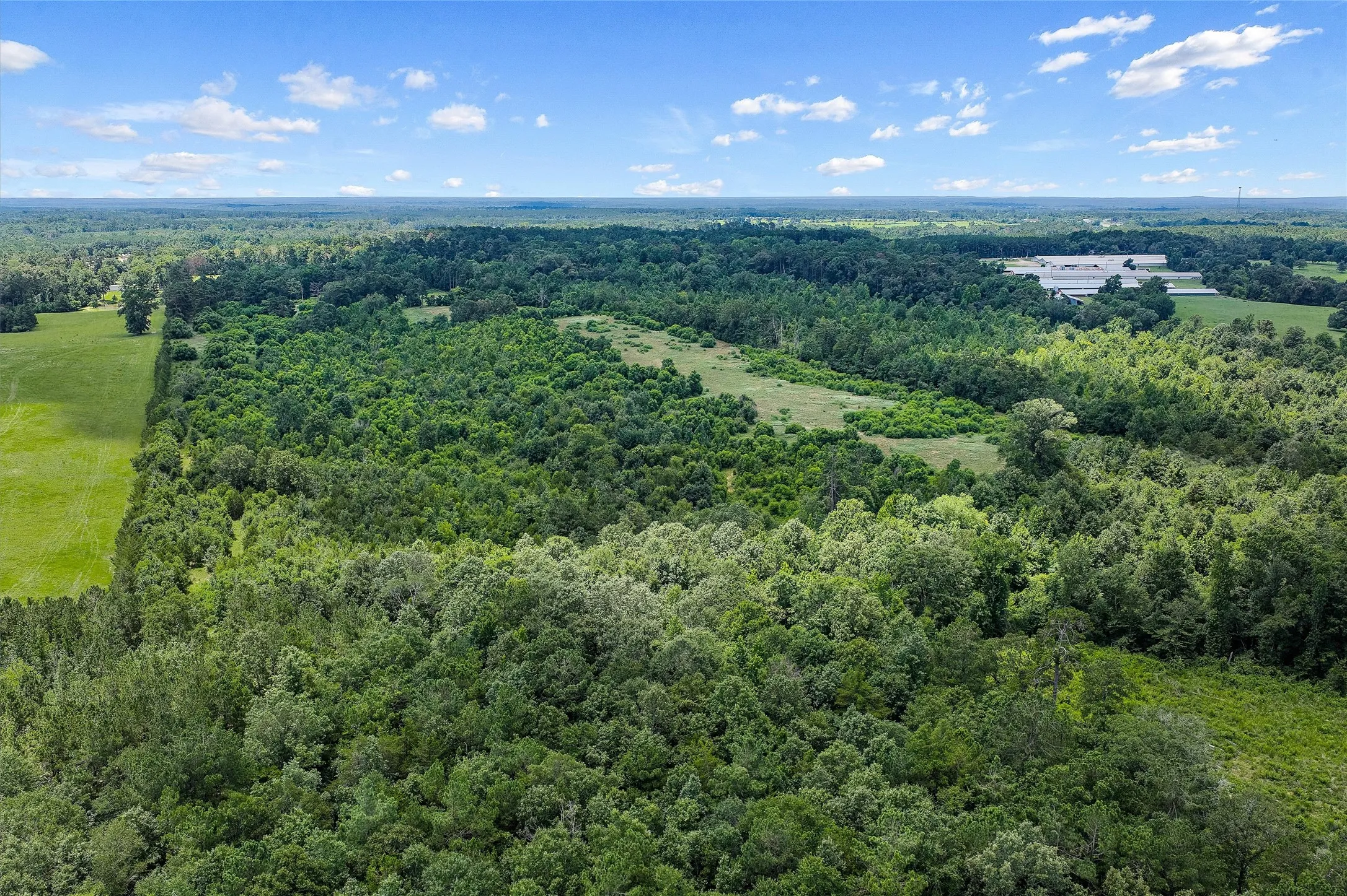 Unimproved Land For Sale in Shelby County , 589 US Highway 84 E, Tenaha, Texas 75974, 0, 0, Garage spaces, 0 Sqft, built in 0, mls#21317768, Real Estate Agent in Tenaha, Homes For Sale in Shelby county, Homes For Sale in Tenaha, Realtor in Tenaha Texas, Real Estate Brokerage Independent Realty Texas, Luminita Cordes Realtor