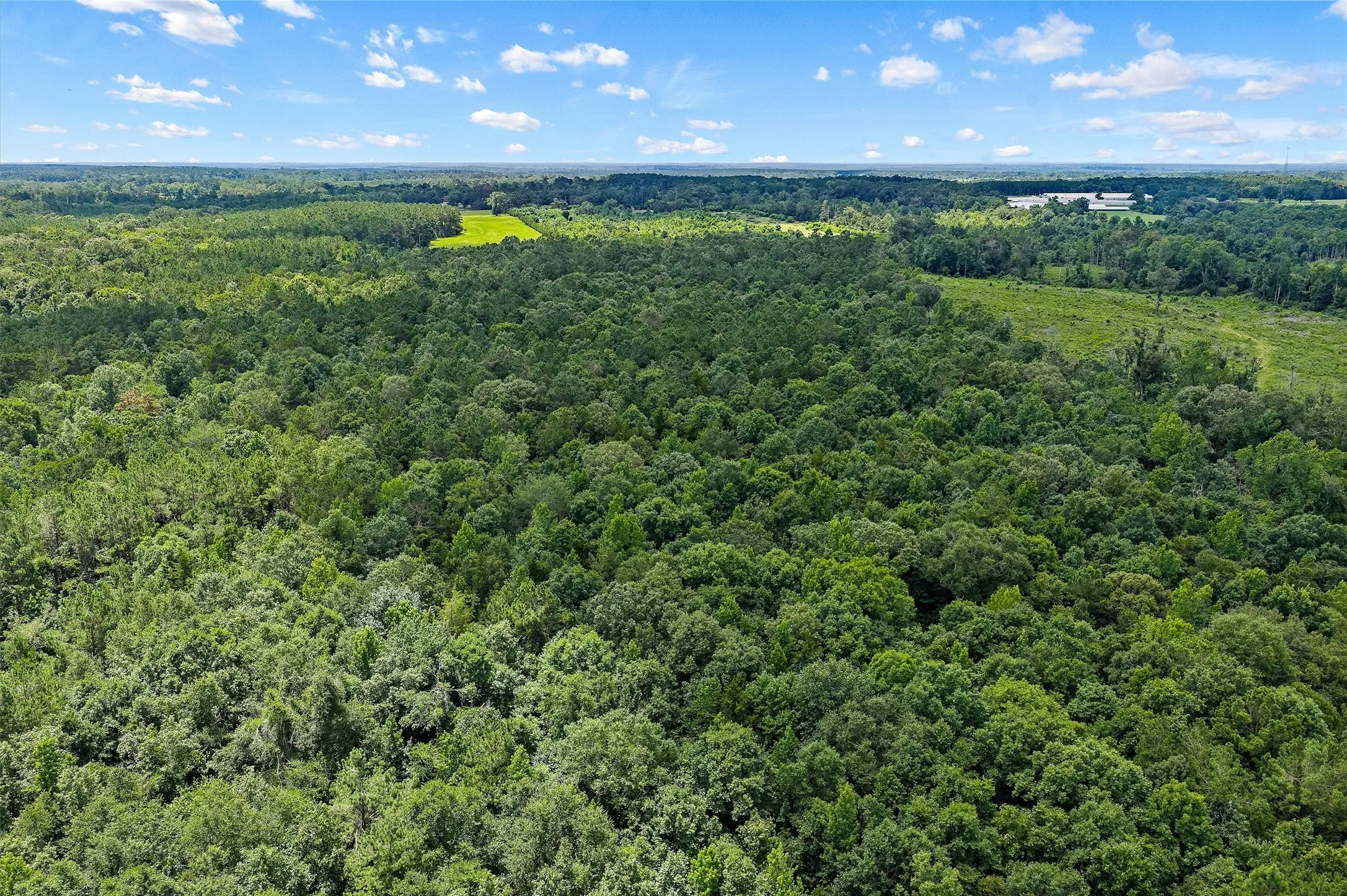 Unimproved Land For Sale in Shelby County , 589 US Highway 84 E, Tenaha, Texas 75974, 0, 0, Garage spaces, 0 Sqft, built in 0, mls#21317768, Real Estate Agent in Tenaha, Homes For Sale in Shelby county, Homes For Sale in Tenaha, Realtor in Tenaha Texas, Real Estate Brokerage Independent Realty Texas, Luminita Cordes Realtor