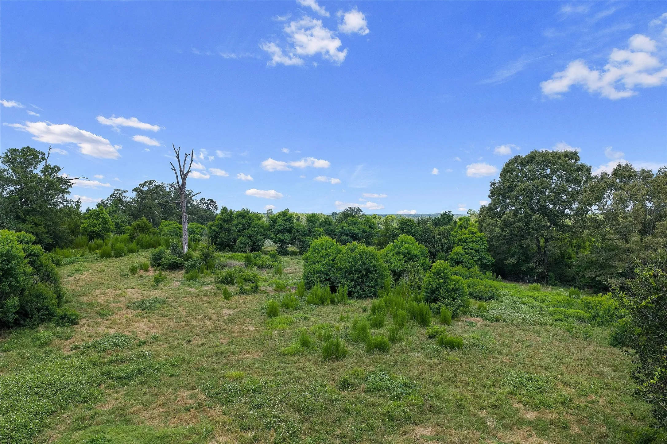 Unimproved Land For Sale in Shelby County , 589 US Highway 84 E, Tenaha, Texas 75974, 0, 0, Garage spaces, 0 Sqft, built in 0, mls#21317768, Real Estate Agent in Tenaha, Homes For Sale in Shelby county, Homes For Sale in Tenaha, Realtor in Tenaha Texas, Real Estate Brokerage Independent Realty Texas, Luminita Cordes Realtor