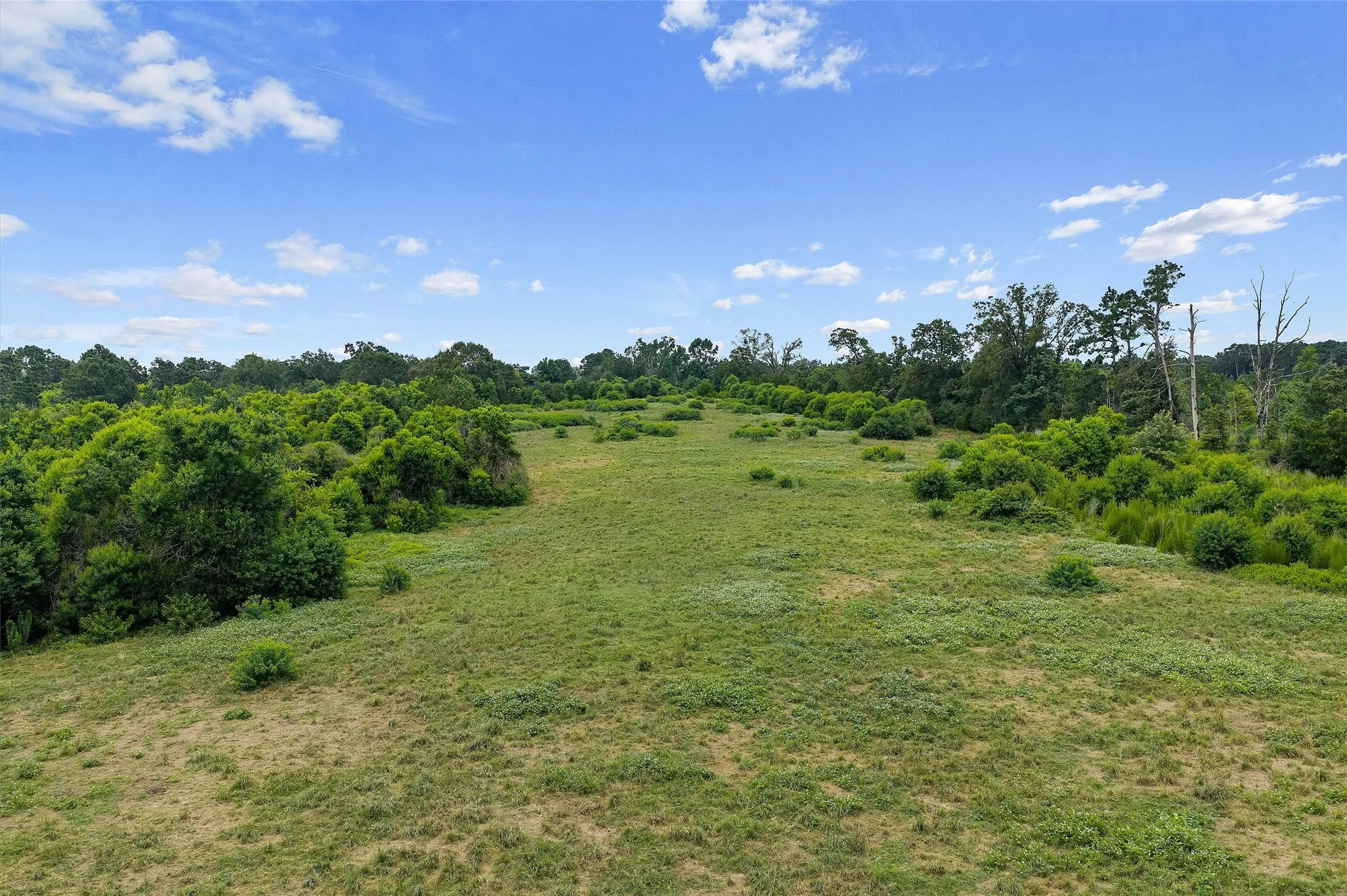 Unimproved Land For Sale in Shelby County , 589 US Highway 84 E, Tenaha, Texas 75974, 0, 0, Garage spaces, 0 Sqft, built in 0, mls#21317768, Real Estate Agent in Tenaha, Homes For Sale in Shelby county, Homes For Sale in Tenaha, Realtor in Tenaha Texas, Real Estate Brokerage Independent Realty Texas, Luminita Cordes Realtor