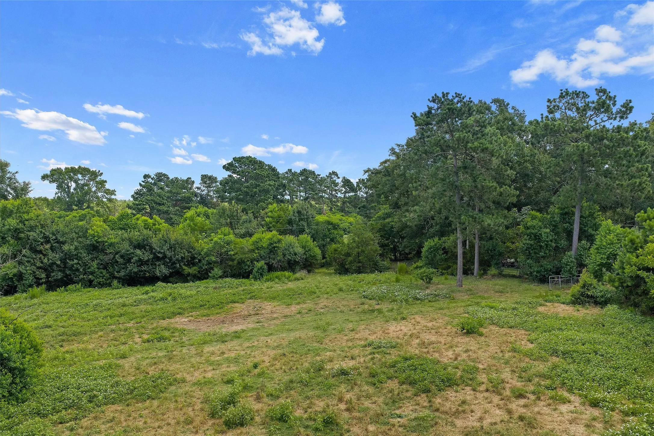 Unimproved Land For Sale in Shelby County , 589 US Highway 84 E, Tenaha, Texas 75974, 0, 0, Garage spaces, 0 Sqft, built in 0, mls#21317768, Real Estate Agent in Tenaha, Homes For Sale in Shelby county, Homes For Sale in Tenaha, Realtor in Tenaha Texas, Real Estate Brokerage Independent Realty Texas, Luminita Cordes Realtor