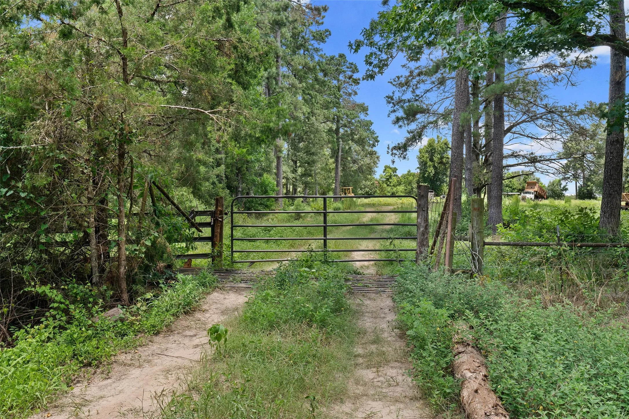 Unimproved Land For Sale in Shelby County , 589 US Highway 84 E, Tenaha, Texas 75974, 0, 0, Garage spaces, 0 Sqft, built in 0, mls#21317768, Real Estate Agent in Tenaha, Homes For Sale in Shelby county, Homes For Sale in Tenaha, Realtor in Tenaha Texas, Real Estate Brokerage Independent Realty Texas, Luminita Cordes Realtor