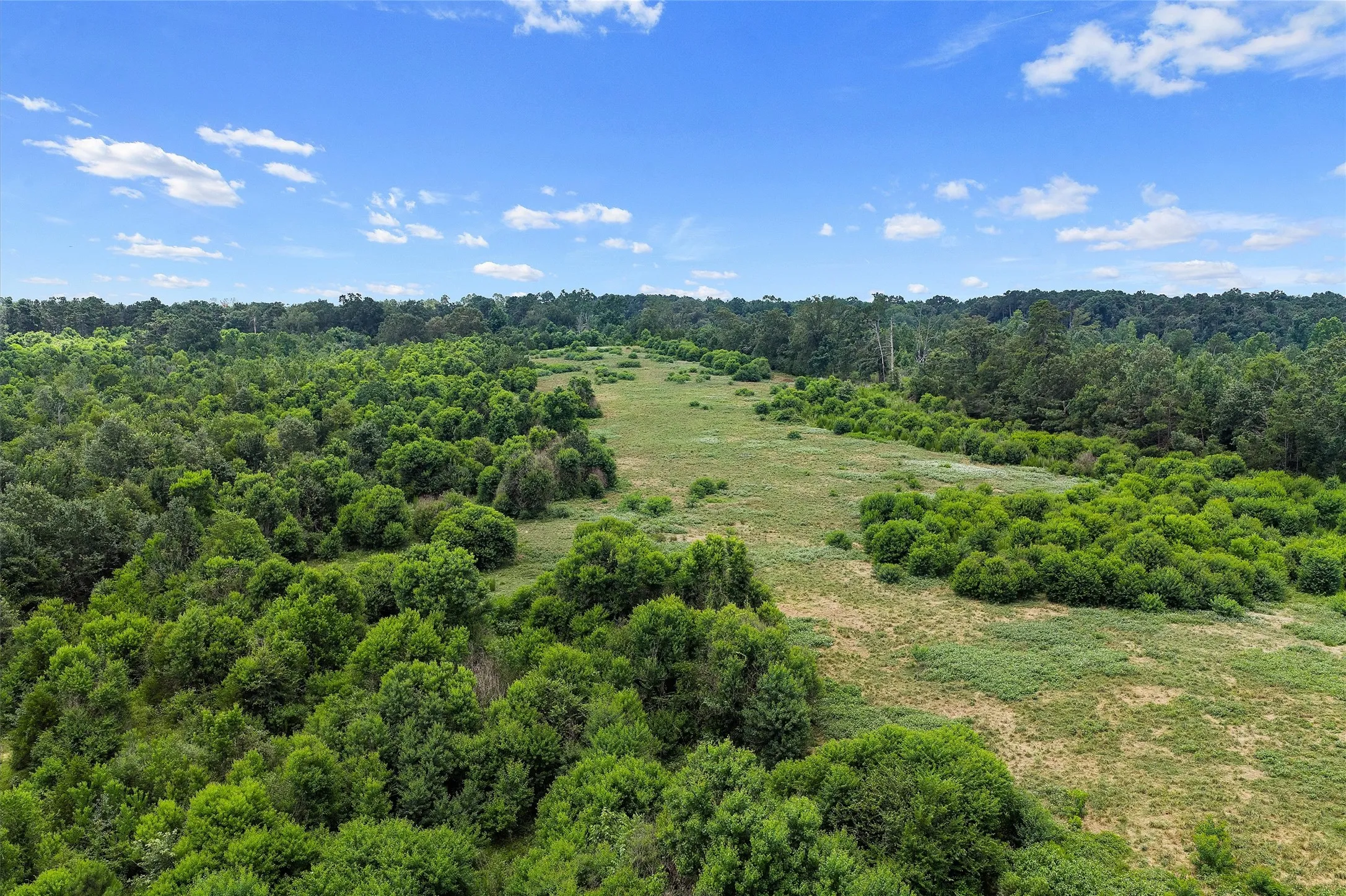 Unimproved Land For Sale in Shelby County , 589 US Highway 84 E, Tenaha, Texas 75974, 0, 0, Garage spaces, 0 Sqft, built in 0, mls#21317768, Real Estate Agent in Tenaha, Homes For Sale in Shelby county, Homes For Sale in Tenaha, Realtor in Tenaha Texas, Real Estate Brokerage Independent Realty Texas, Luminita Cordes Realtor
