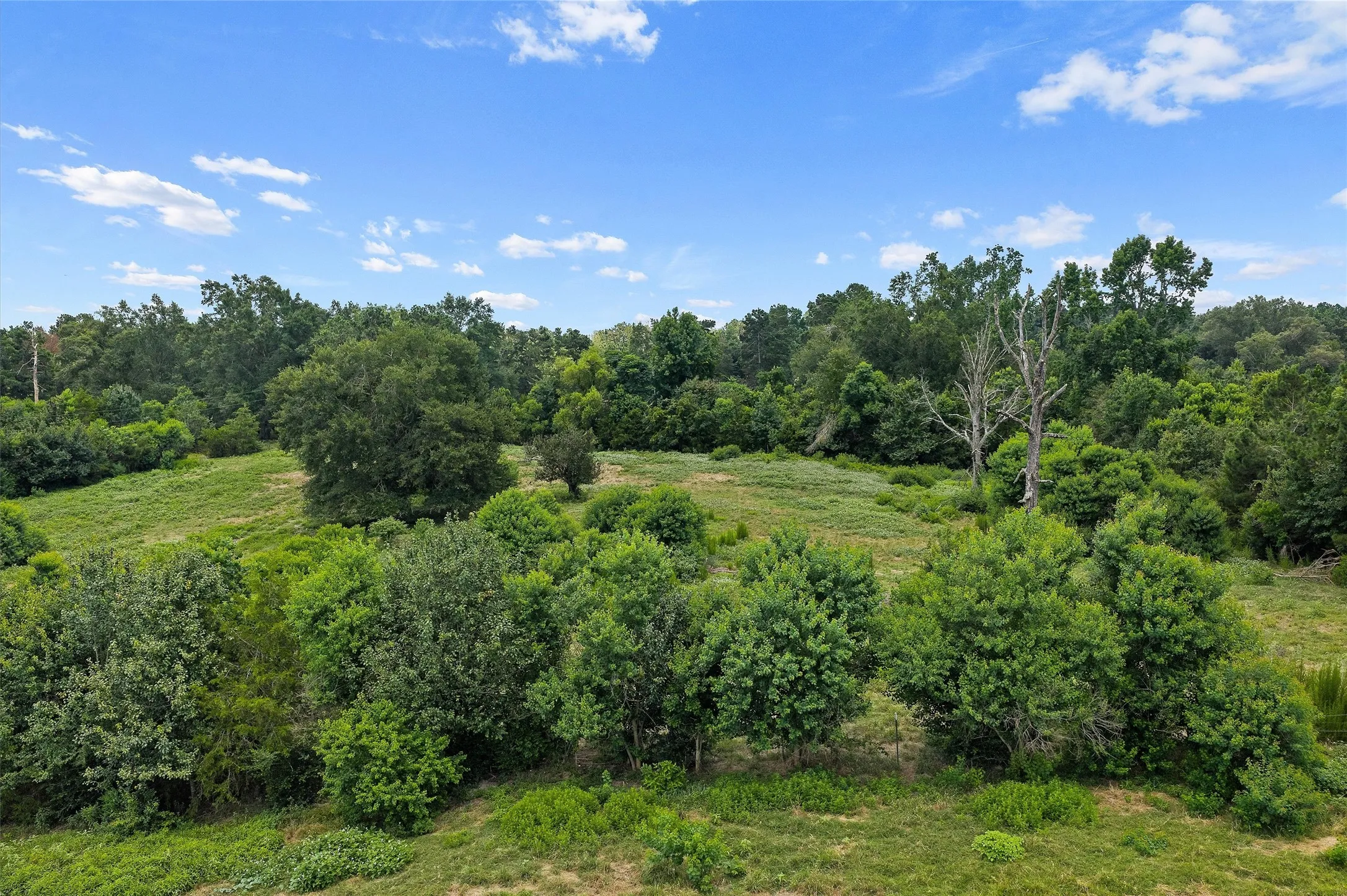 Unimproved Land For Sale in Shelby County , 589 US Highway 84 E, Tenaha, Texas 75974, 0, 0, Garage spaces, 0 Sqft, built in 0, mls#21317768, Real Estate Agent in Tenaha, Homes For Sale in Shelby county, Homes For Sale in Tenaha, Realtor in Tenaha Texas, Real Estate Brokerage Independent Realty Texas, Luminita Cordes Realtor