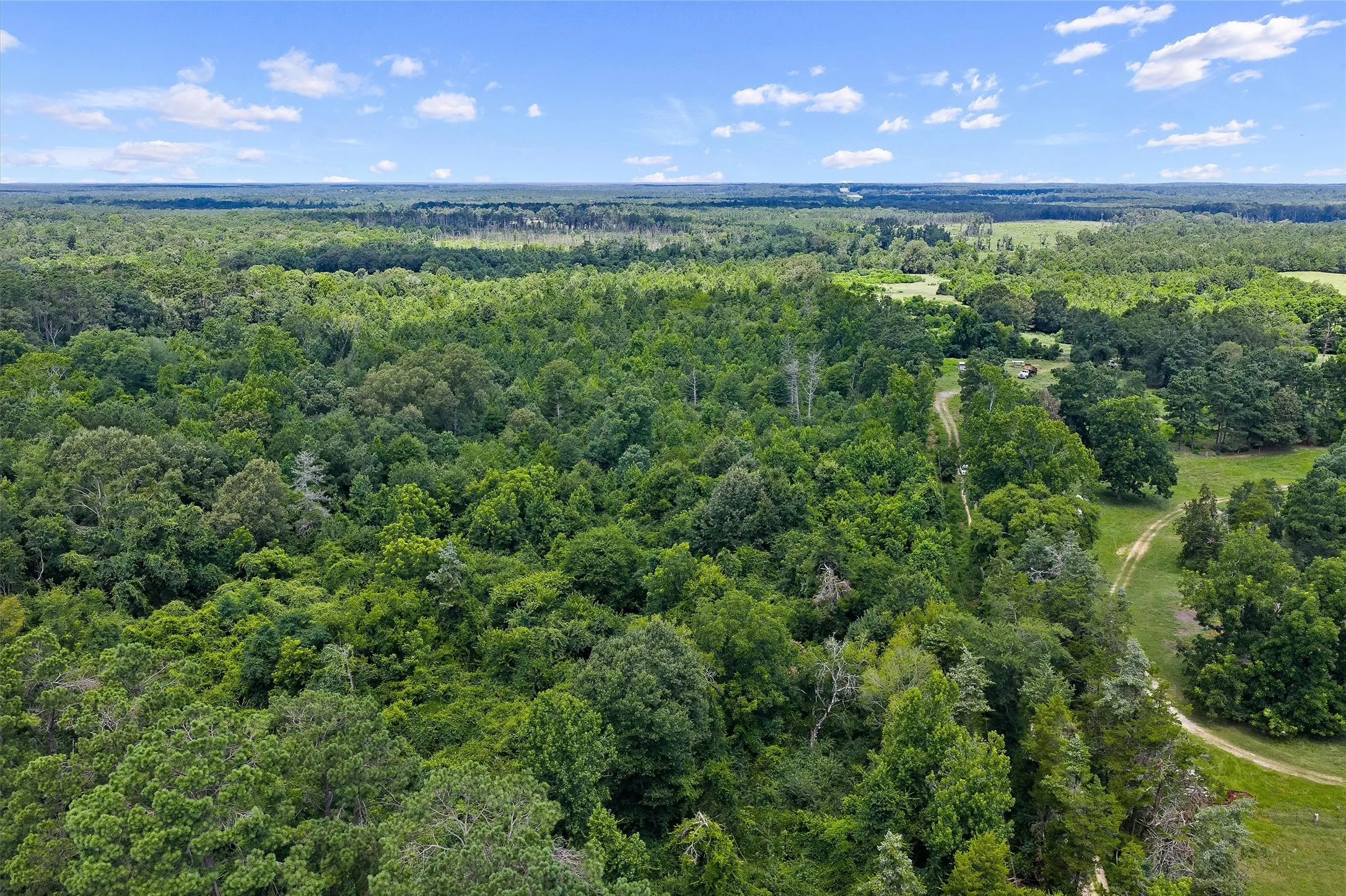 Unimproved Land For Sale in Shelby County , 589 US Highway 84 E, Tenaha, Texas 75974, 0, 0, Garage spaces, 0 Sqft, built in 0, mls#21317768, Real Estate Agent in Tenaha, Homes For Sale in Shelby county, Homes For Sale in Tenaha, Realtor in Tenaha Texas, Real Estate Brokerage Independent Realty Texas, Luminita Cordes Realtor