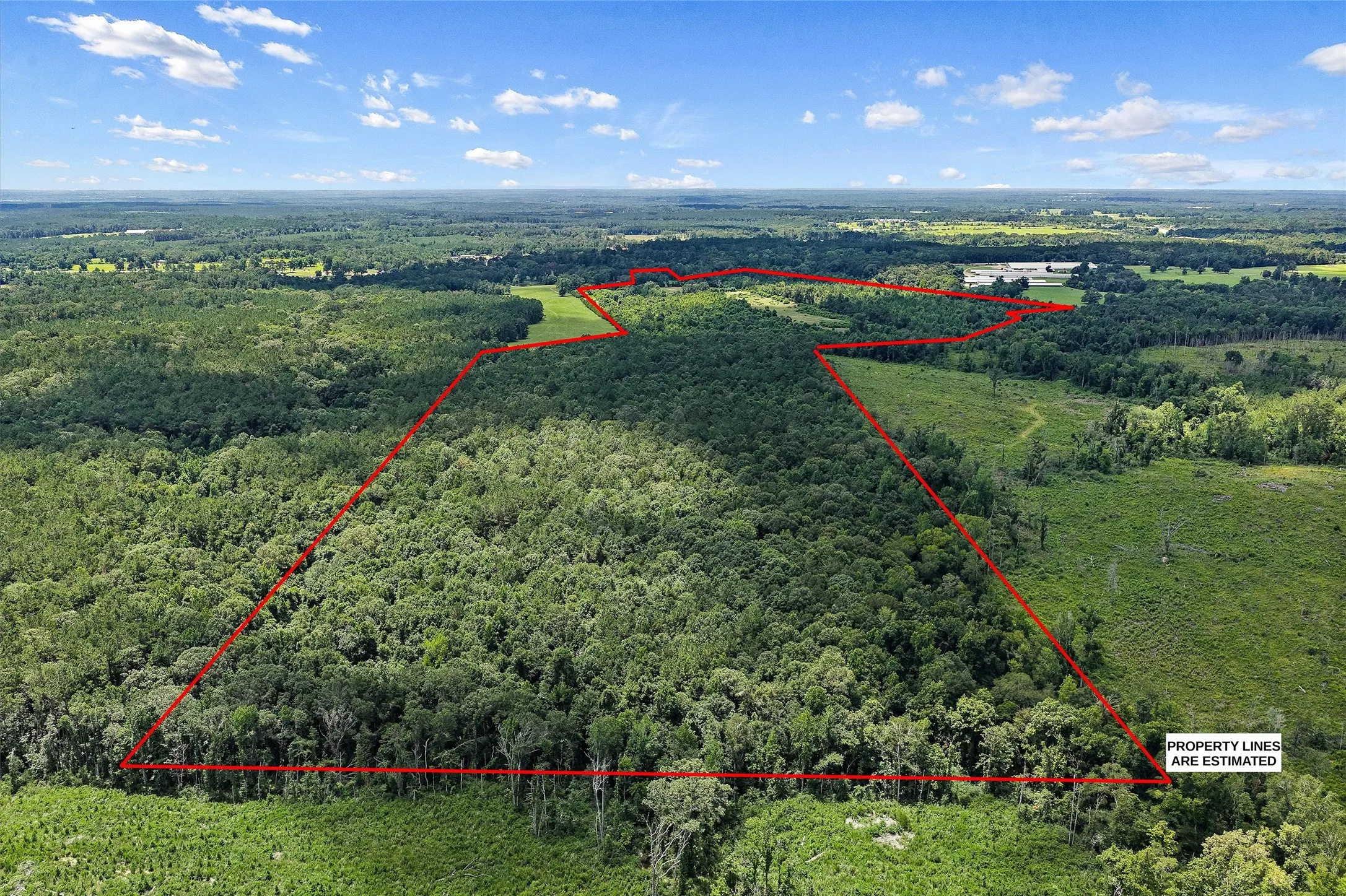 Unimproved Land For Sale in Shelby County , 589 US Highway 84 E, Tenaha, Texas 75974, 0, 0, Garage spaces, 0 Sqft, built in 0, mls#21317768, Real Estate Agent in Tenaha, Homes For Sale in Shelby county, Homes For Sale in Tenaha, Realtor in Tenaha Texas, Real Estate Brokerage Independent Realty Texas, Luminita Cordes Realtor