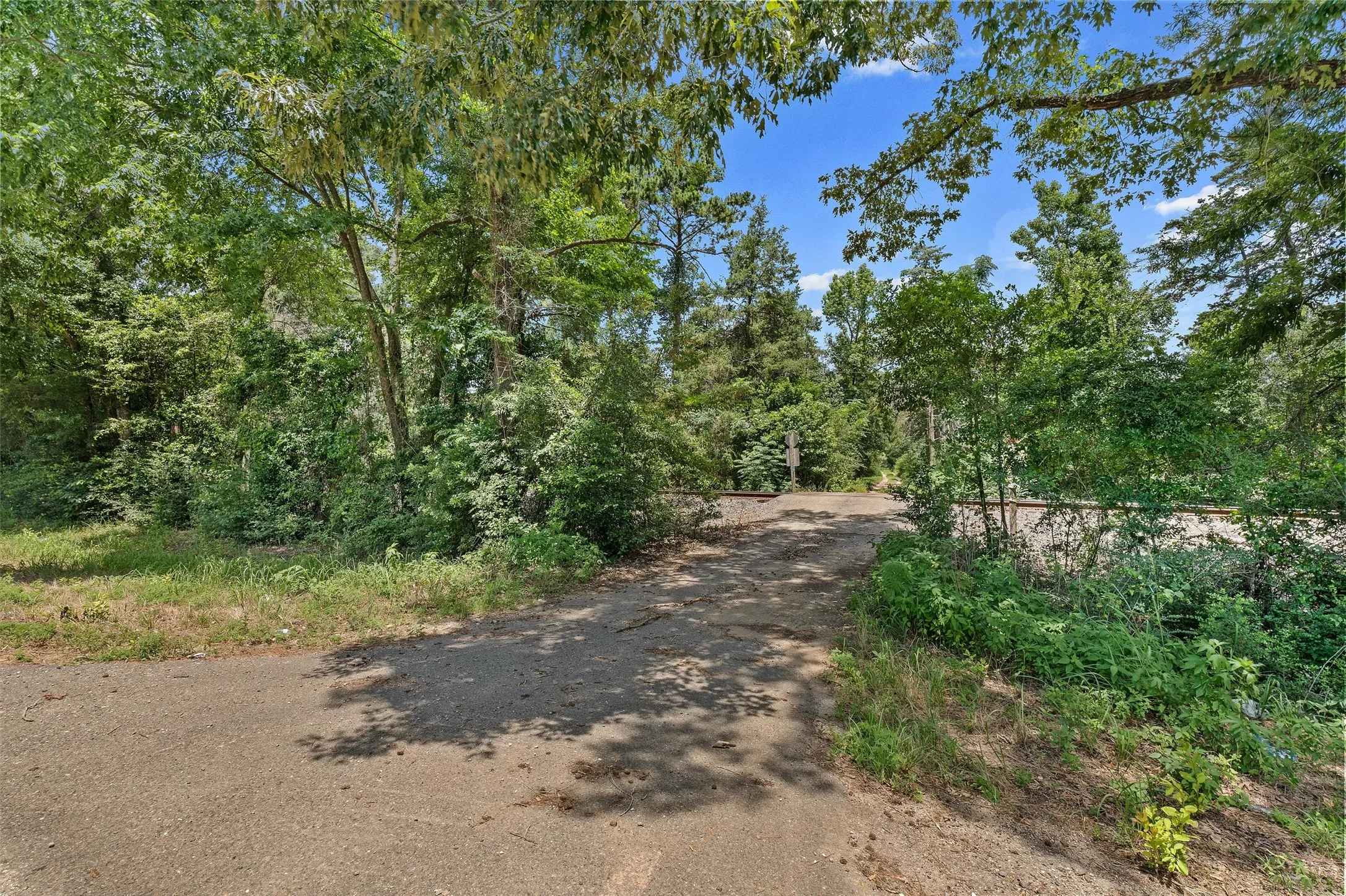 Unimproved Land For Sale in Shelby County , 589 US Highway 84 E, Tenaha, Texas 75974, 0, 0, Garage spaces, 0 Sqft, built in 0, mls#21317768, Real Estate Agent in Tenaha, Homes For Sale in Shelby county, Homes For Sale in Tenaha, Realtor in Tenaha Texas, Real Estate Brokerage Independent Realty Texas, Luminita Cordes Realtor