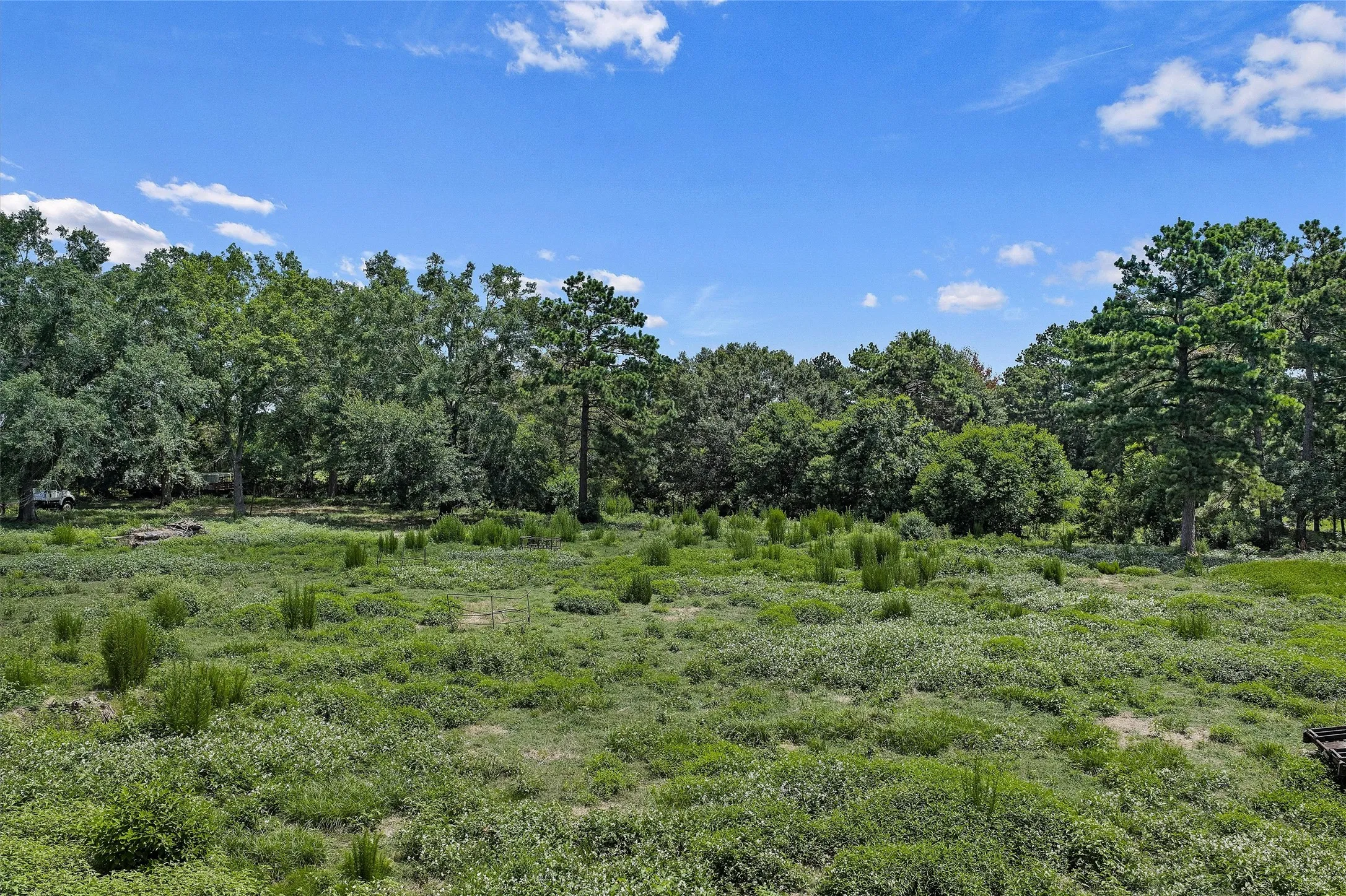 Unimproved Land For Sale in Shelby County , 589 US Highway 84 E, Tenaha, Texas 75974, 0, 0, Garage spaces, 0 Sqft, built in 0, mls#21317768, Real Estate Agent in Tenaha, Homes For Sale in Shelby county, Homes For Sale in Tenaha, Realtor in Tenaha Texas, Real Estate Brokerage Independent Realty Texas, Luminita Cordes Realtor