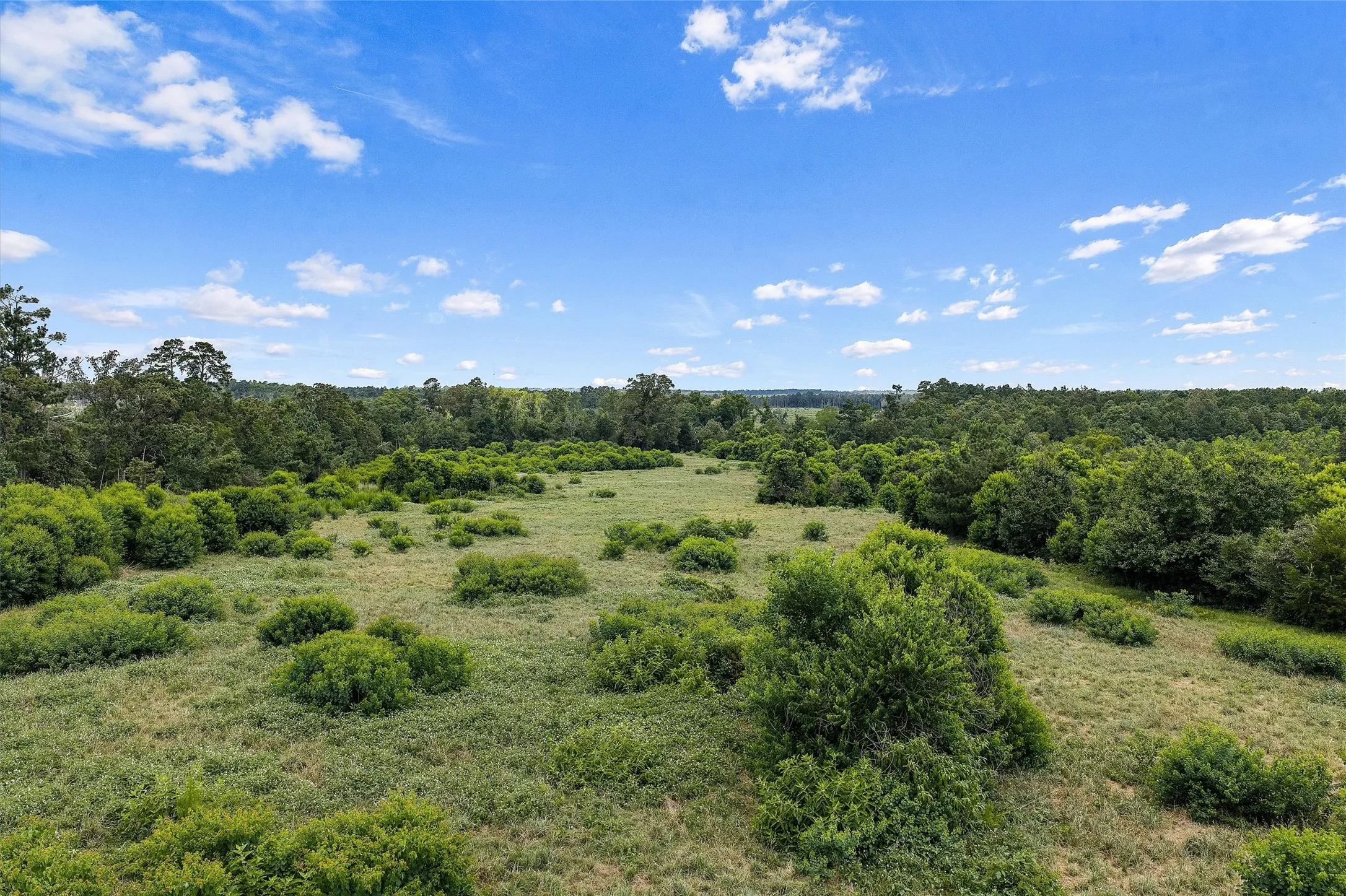 Unimproved Land For Sale in Shelby County , 589 US Highway 84 E, Tenaha, Texas 75974, 0, 0, Garage spaces, 0 Sqft, built in 0, mls#21317768, Real Estate Agent in Tenaha, Homes For Sale in Shelby county, Homes For Sale in Tenaha, Realtor in Tenaha Texas, Real Estate Brokerage Independent Realty Texas, Luminita Cordes Realtor