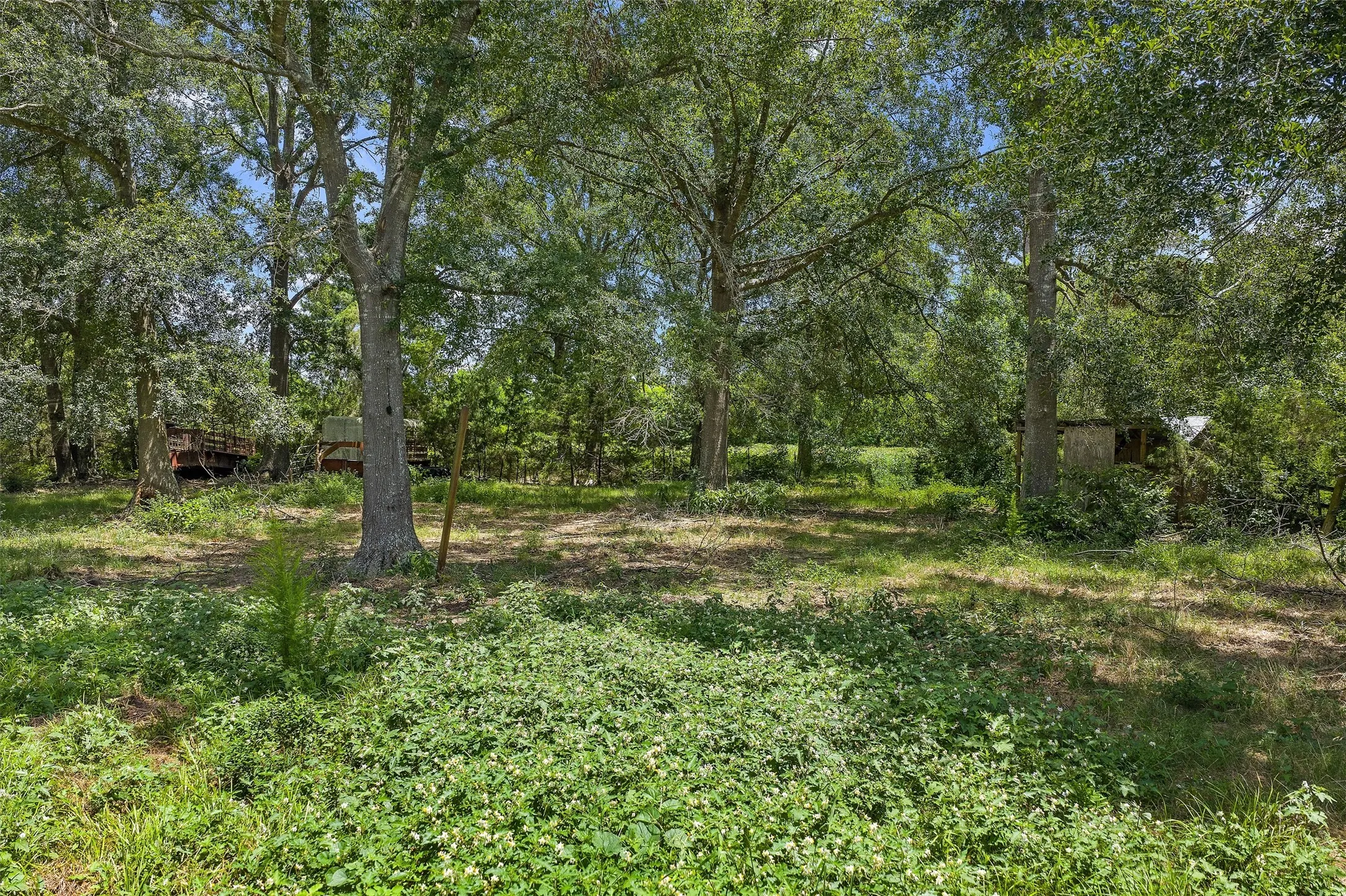 Unimproved Land For Sale in Shelby County , 589 US Highway 84 E, Tenaha, Texas 75974, 0, 0, Garage spaces, 0 Sqft, built in 0, mls#21317768, Real Estate Agent in Tenaha, Homes For Sale in Shelby county, Homes For Sale in Tenaha, Realtor in Tenaha Texas, Real Estate Brokerage Independent Realty Texas, Luminita Cordes Realtor