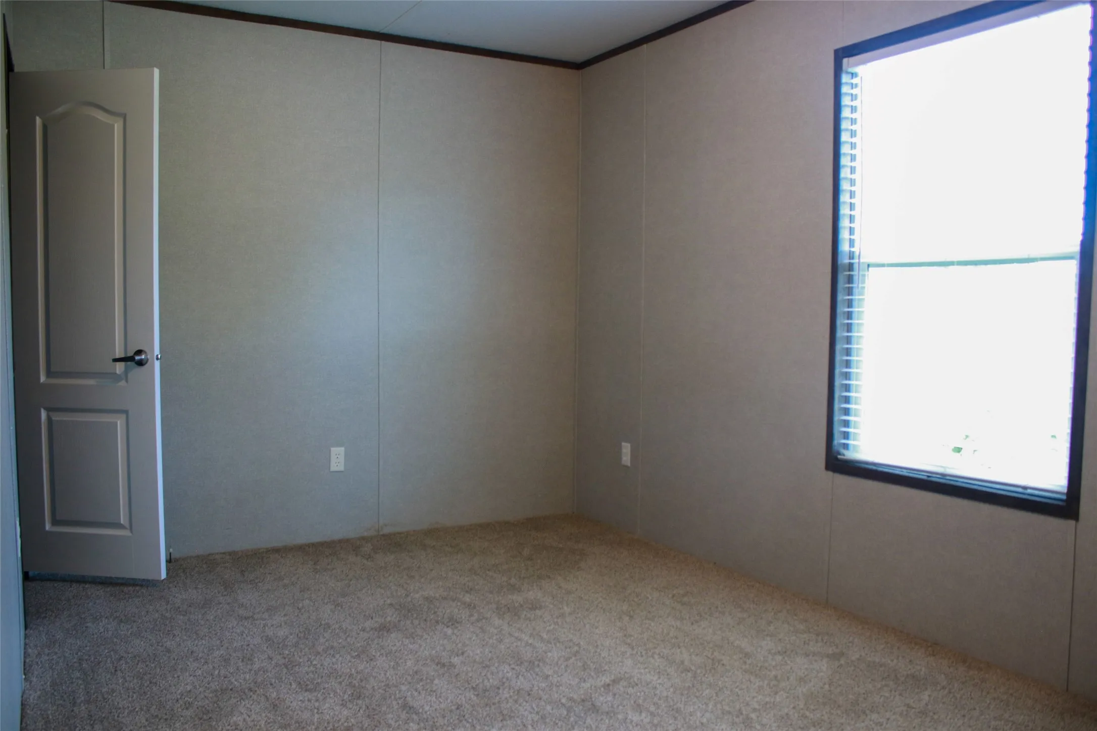 Neutral-toned carpet flooring, light-colored wall panels, white interior door with dark hardware, and a window with blinds