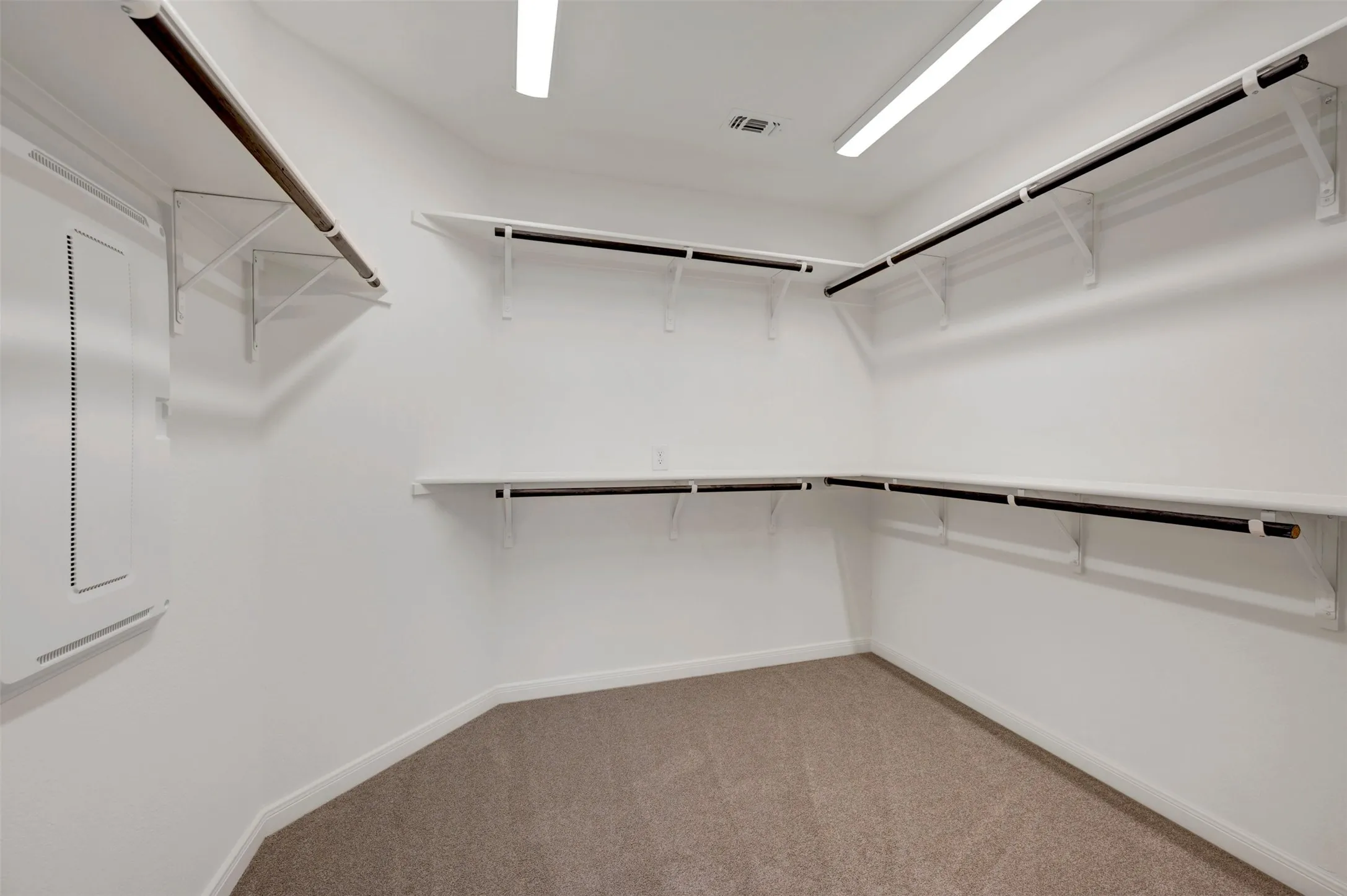 Expansive walk-in closet with carpet flooring, multiple shelving units, and integrated hanging rods