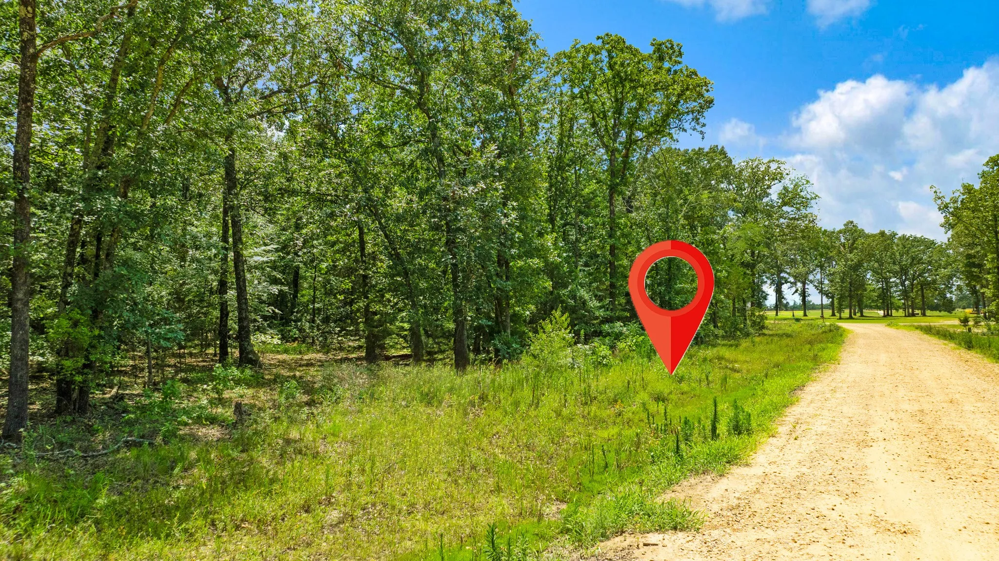 Improved Land For Sale in Lamar County , Lot 20 PR 32501, Paris, Texas 75460, 0, 0, Garage spaces, 0 Sqft, built in 0, Price $132,000, mls#21322998, Real Estate Agent in Paris, Homes For Sale in Lamar county, Homes For Sale in Paris, Realtor in Paris Texas, Real Estate Brokerage Independent Realty Texas, Luminita Cordes Realtor