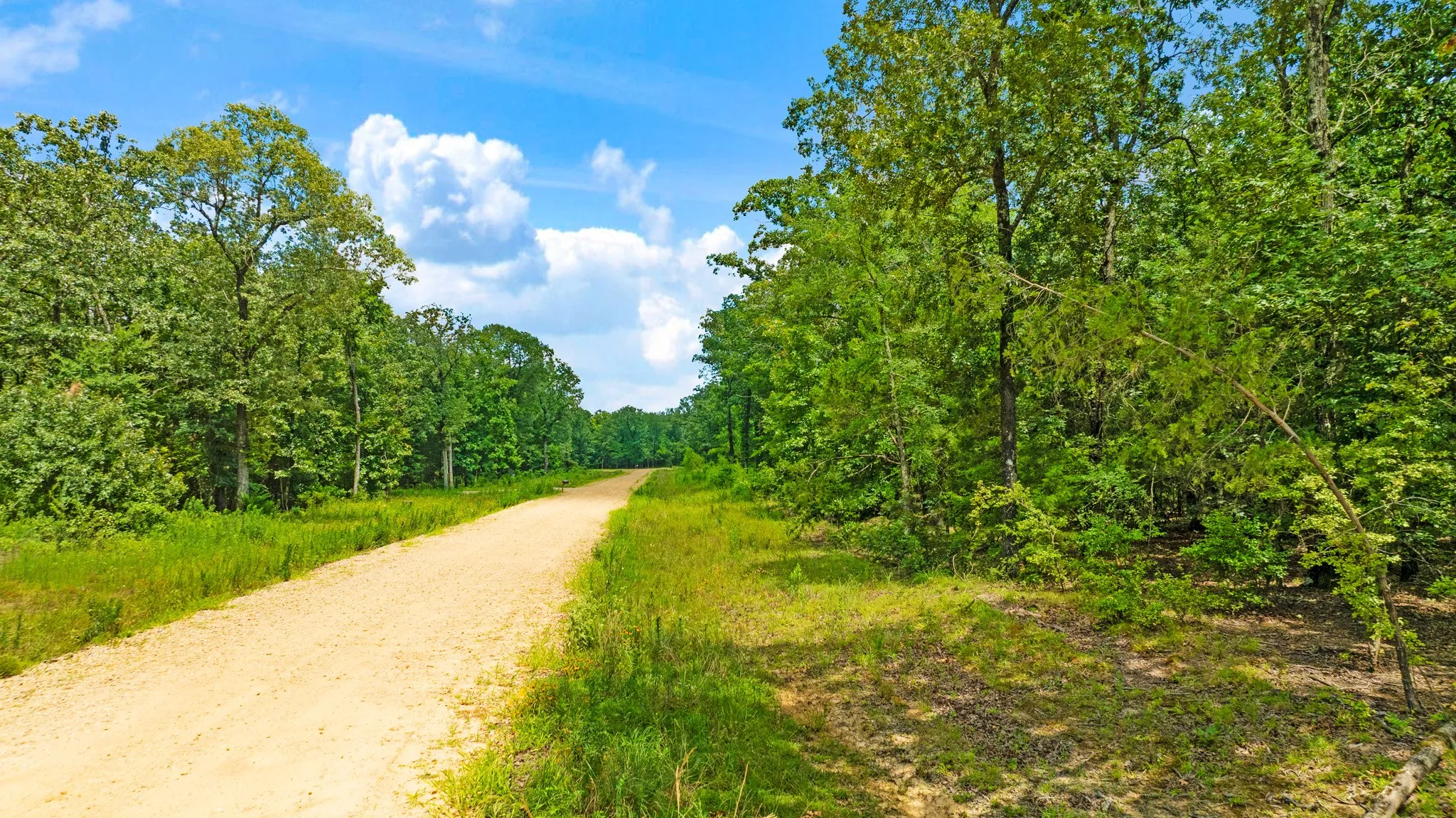 Improved Land For Sale in Lamar County , Lot 20 PR 32501, Paris, Texas 75460, 0, 0, Garage spaces, 0 Sqft, built in 0, Price $132,000, mls#21322998, Real Estate Agent in Paris, Homes For Sale in Lamar county, Homes For Sale in Paris, Realtor in Paris Texas, Real Estate Brokerage Independent Realty Texas, Luminita Cordes Realtor