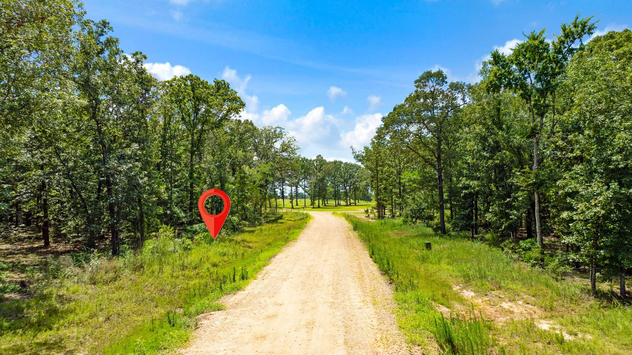 Improved Land For Sale in Lamar County , Lot 20 PR 32501, Paris, Texas 75460, 0, 0, Garage spaces, 0 Sqft, built in 0, Price $132,000, mls#21322998, Real Estate Agent in Paris, Homes For Sale in Lamar county, Homes For Sale in Paris, Realtor in Paris Texas, Real Estate Brokerage Independent Realty Texas, Luminita Cordes Realtor