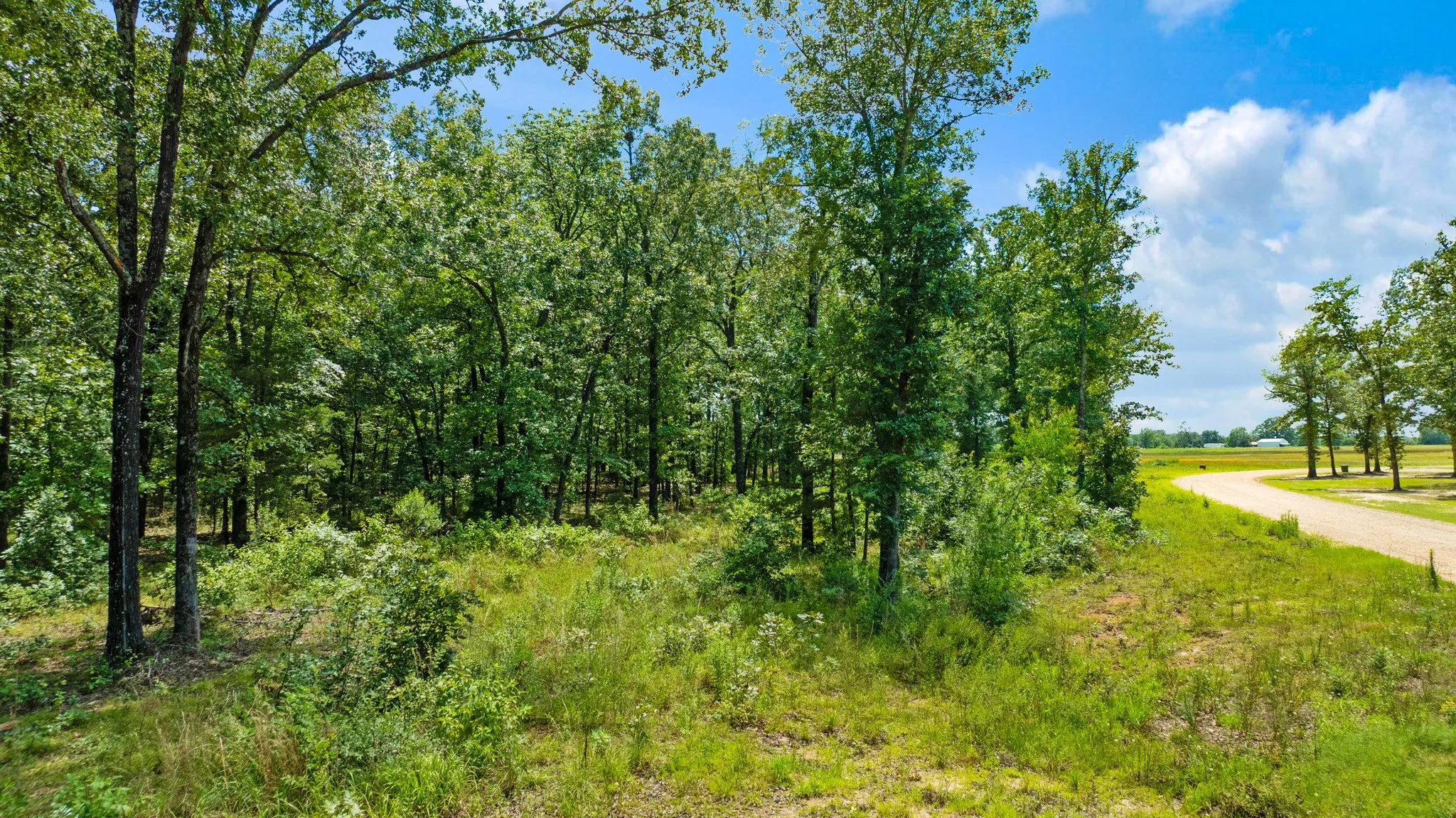 Improved Land For Sale in Lamar County , Lot 18 PR 32501, Paris, Texas 75460, 0, 0, Garage spaces, 0 Sqft, built in 0, Price $110,000, mls#21323064, Real Estate Agent in Paris, Homes For Sale in Lamar county, Homes For Sale in Paris, Realtor in Paris Texas, Real Estate Brokerage Independent Realty Texas, Luminita Cordes Realtor