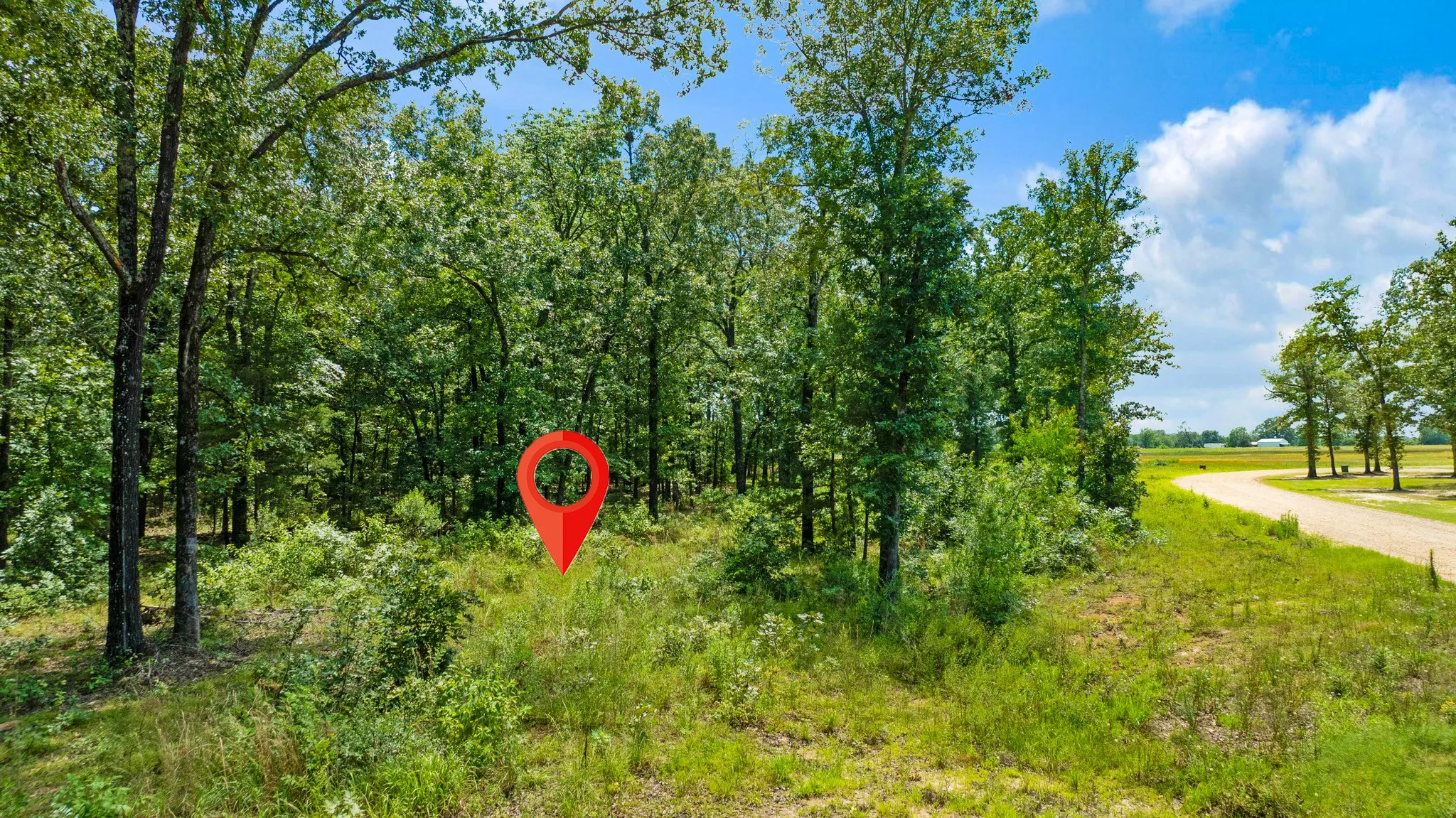 Improved Land For Sale in Lamar County , Lot 18 PR 32501, Paris, Texas 75460, 0, 0, Garage spaces, 0 Sqft, built in 0, Price $110,000, mls#21323064, Real Estate Agent in Paris, Homes For Sale in Lamar county, Homes For Sale in Paris, Realtor in Paris Texas, Real Estate Brokerage Independent Realty Texas, Luminita Cordes Realtor