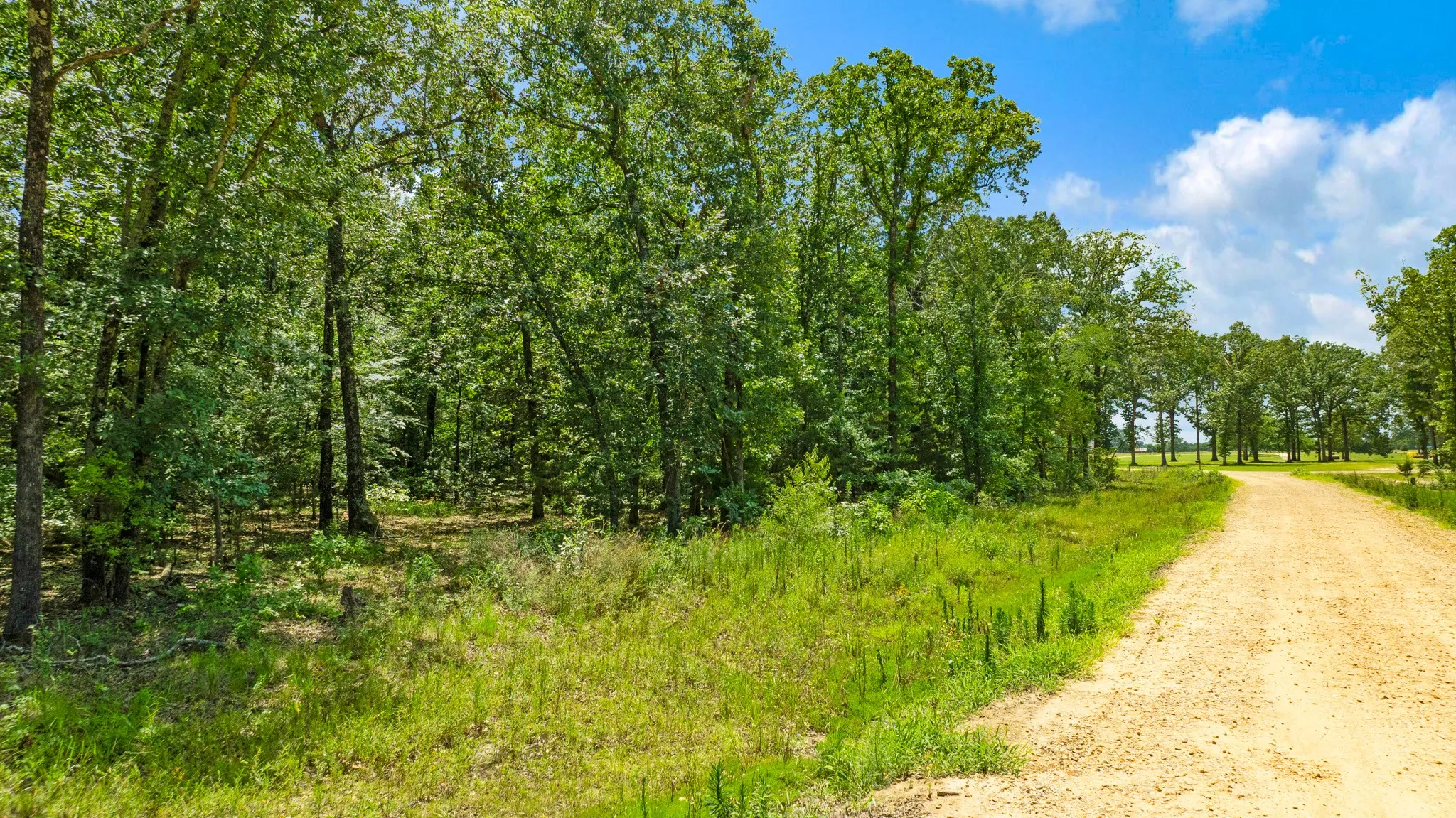 Improved Land For Sale in Lamar County , Lot 18 PR 32501, Paris, Texas 75460, 0, 0, Garage spaces, 0 Sqft, built in 0, Price $110,000, mls#21323064, Real Estate Agent in Paris, Homes For Sale in Lamar county, Homes For Sale in Paris, Realtor in Paris Texas, Real Estate Brokerage Independent Realty Texas, Luminita Cordes Realtor