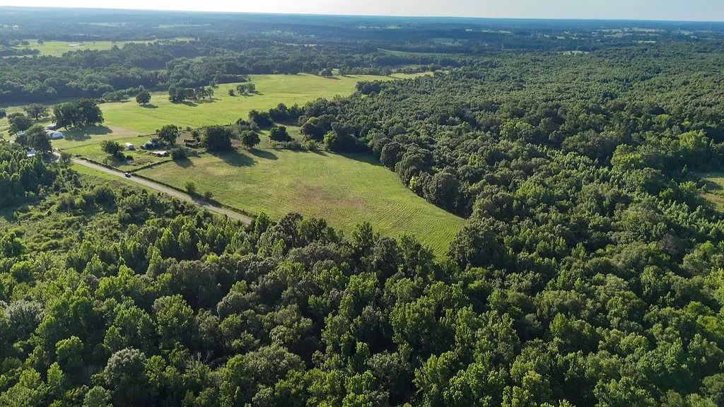 Improved Land For Sale in Wood County , 753 County Road 4390, Winnsboro, Texas 75494, 0, 0, Garage spaces, 0 Sqft, built in 0, mls#21323623, Real Estate Agent in Winnsboro, Homes For Sale in Wood county, Homes For Sale in Winnsboro, Realtor in Winnsboro Texas, Real Estate Brokerage Independent Realty Texas, Luminita Cordes Realtor
