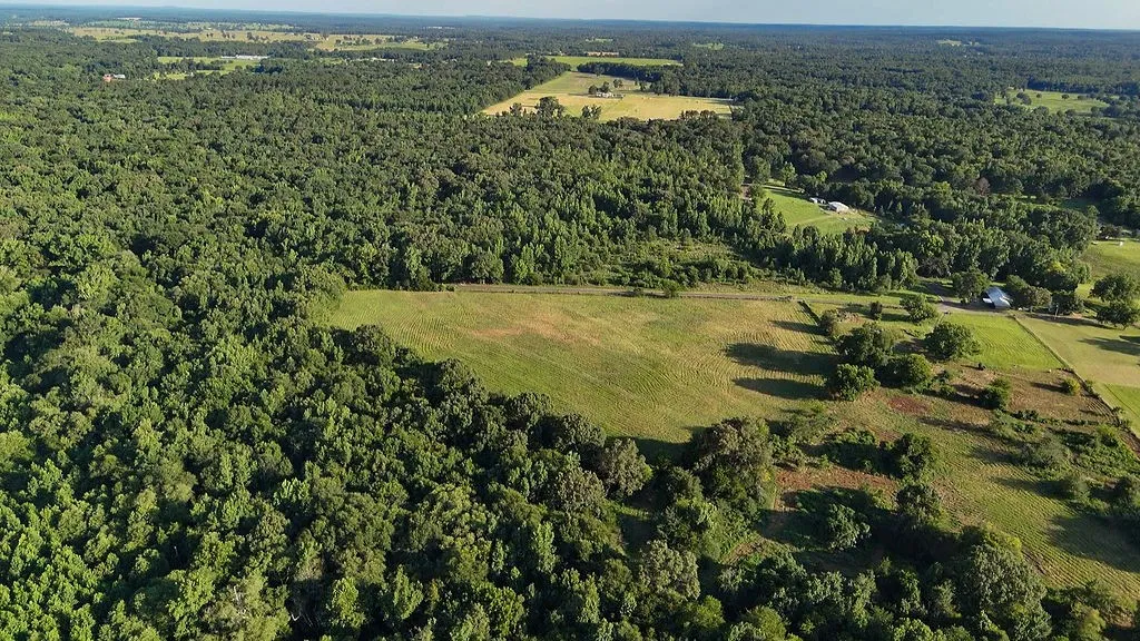 Improved Land For Sale in Wood County , 753 County Road 4390, Winnsboro, Texas 75494, 0, 0, Garage spaces, 0 Sqft, built in 0, mls#21323623, Real Estate Agent in Winnsboro, Homes For Sale in Wood county, Homes For Sale in Winnsboro, Realtor in Winnsboro Texas, Real Estate Brokerage Independent Realty Texas, Luminita Cordes Realtor