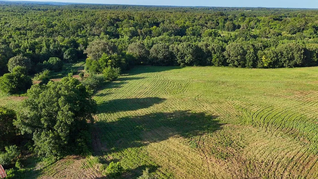 Improved Land For Sale in Wood County , 753 County Road 4390, Winnsboro, Texas 75494, 0, 0, Garage spaces, 0 Sqft, built in 0, mls#21323623, Real Estate Agent in Winnsboro, Homes For Sale in Wood county, Homes For Sale in Winnsboro, Realtor in Winnsboro Texas, Real Estate Brokerage Independent Realty Texas, Luminita Cordes Realtor