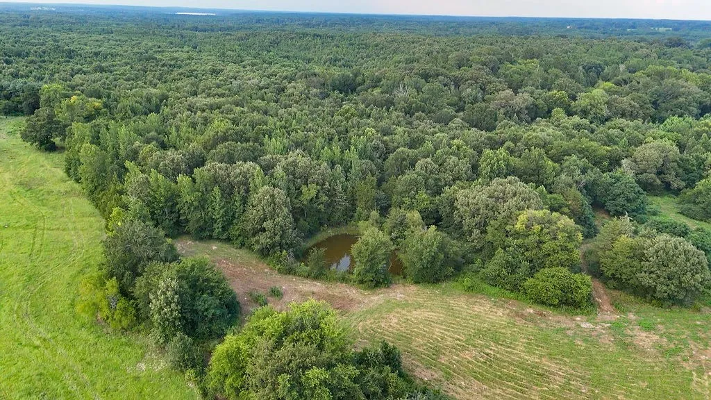 Improved Land For Sale in Wood County , 753 County Road 4390, Winnsboro, Texas 75494, 0, 0, Garage spaces, 0 Sqft, built in 0, mls#21323623, Real Estate Agent in Winnsboro, Homes For Sale in Wood county, Homes For Sale in Winnsboro, Realtor in Winnsboro Texas, Real Estate Brokerage Independent Realty Texas, Luminita Cordes Realtor