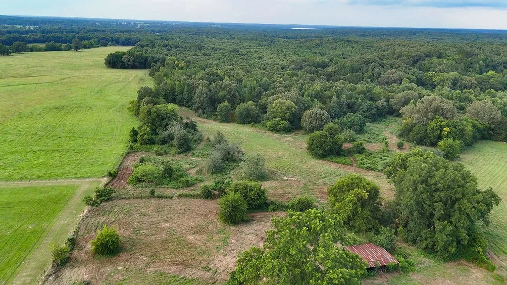 Improved Land For Sale in Wood County , 753 County Road 4390, Winnsboro, Texas 75494, 0, 0, Garage spaces, 0 Sqft, built in 0, mls#21323623, Real Estate Agent in Winnsboro, Homes For Sale in Wood county, Homes For Sale in Winnsboro, Realtor in Winnsboro Texas, Real Estate Brokerage Independent Realty Texas, Luminita Cordes Realtor