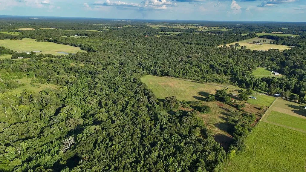 Improved Land For Sale in Wood County , 753 County Road 4390, Winnsboro, Texas 75494, 0, 0, Garage spaces, 0 Sqft, built in 0, mls#21323623, Real Estate Agent in Winnsboro, Homes For Sale in Wood county, Homes For Sale in Winnsboro, Realtor in Winnsboro Texas, Real Estate Brokerage Independent Realty Texas, Luminita Cordes Realtor