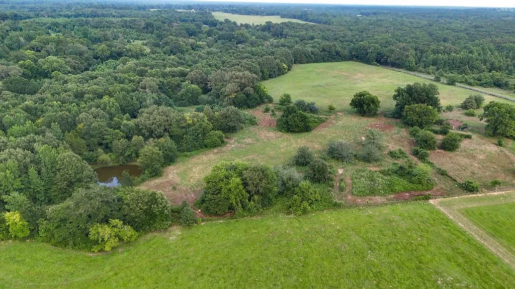 Improved Land For Sale in Wood County , 753 County Road 4390, Winnsboro, Texas 75494, 0, 0, Garage spaces, 0 Sqft, built in 0, mls#21323623, Real Estate Agent in Winnsboro, Homes For Sale in Wood county, Homes For Sale in Winnsboro, Realtor in Winnsboro Texas, Real Estate Brokerage Independent Realty Texas, Luminita Cordes Realtor