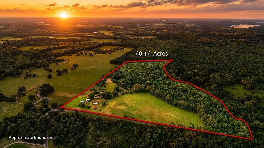Improved Land For Sale in Wood County , 753 County Road 4390, Winnsboro, Texas 75494, 0, 0, Garage spaces, 0 Sqft, built in 0, mls#21323623, Real Estate Agent in Winnsboro, Homes For Sale in Wood county, Homes For Sale in Winnsboro, Realtor in Winnsboro Texas, Real Estate Brokerage Independent Realty Texas, Luminita Cordes Realtor