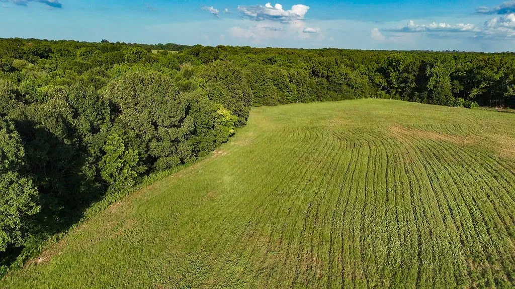 Improved Land For Sale in Wood County , 753 County Road 4390, Winnsboro, Texas 75494, 0, 0, Garage spaces, 0 Sqft, built in 0, mls#21323623, Real Estate Agent in Winnsboro, Homes For Sale in Wood county, Homes For Sale in Winnsboro, Realtor in Winnsboro Texas, Real Estate Brokerage Independent Realty Texas, Luminita Cordes Realtor