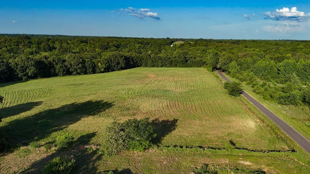 Improved Land For Sale in Wood County , 753 County Road 4390, Winnsboro, Texas 75494, 0, 0, Garage spaces, 0 Sqft, built in 0, mls#21323623, Real Estate Agent in Winnsboro, Homes For Sale in Wood county, Homes For Sale in Winnsboro, Realtor in Winnsboro Texas, Real Estate Brokerage Independent Realty Texas, Luminita Cordes Realtor