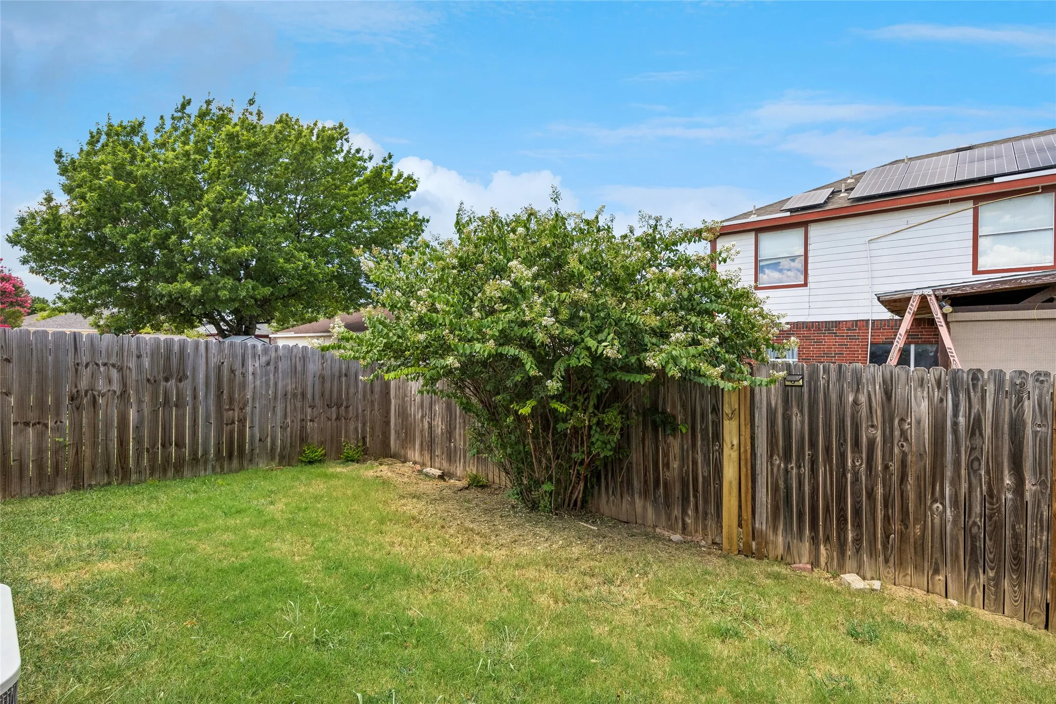 Backyard is fenced.