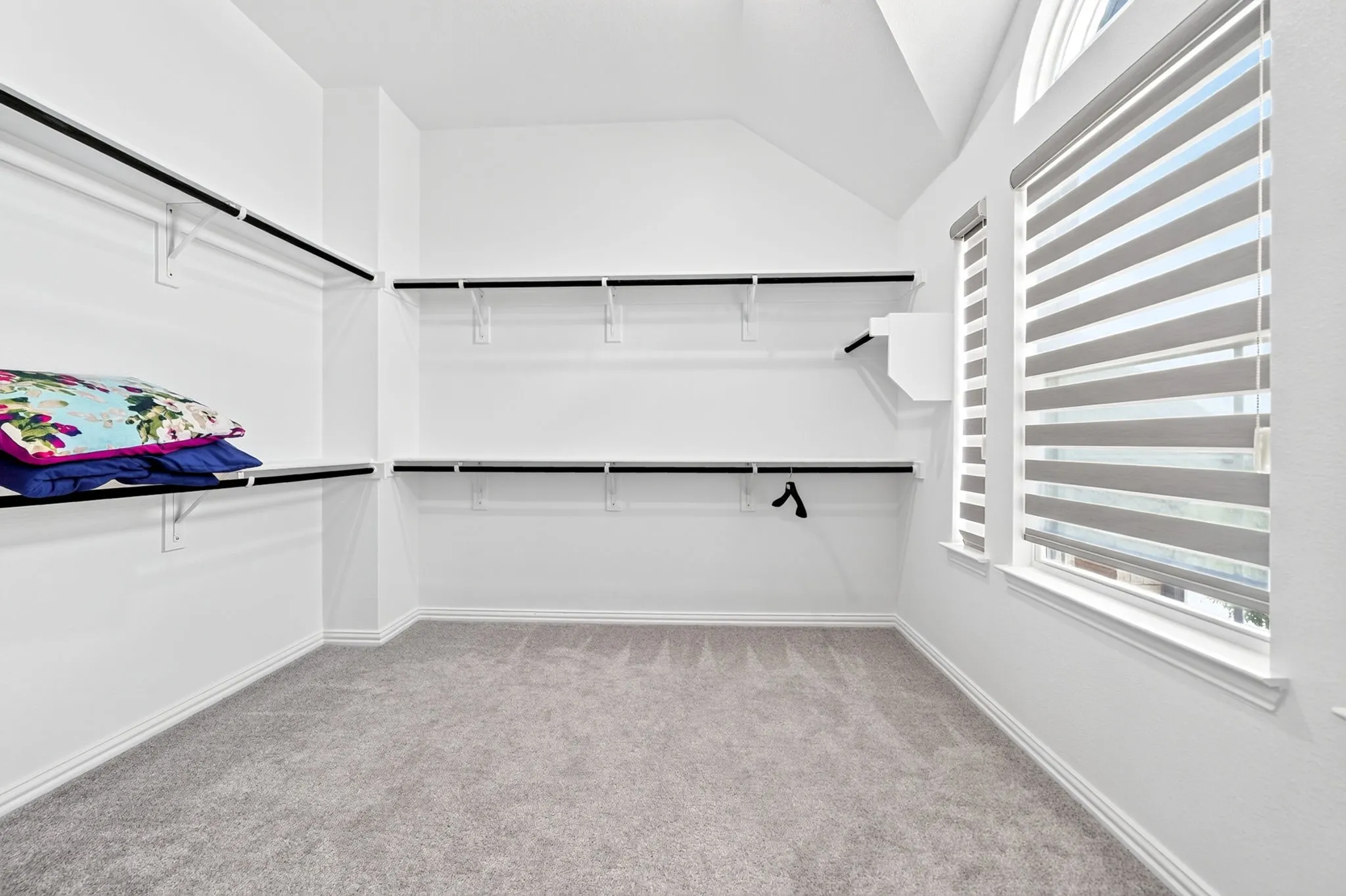 Spacious walk-in closet featuring white walls, light gray carpeting, and multiple built-in shelving units with hanging rods