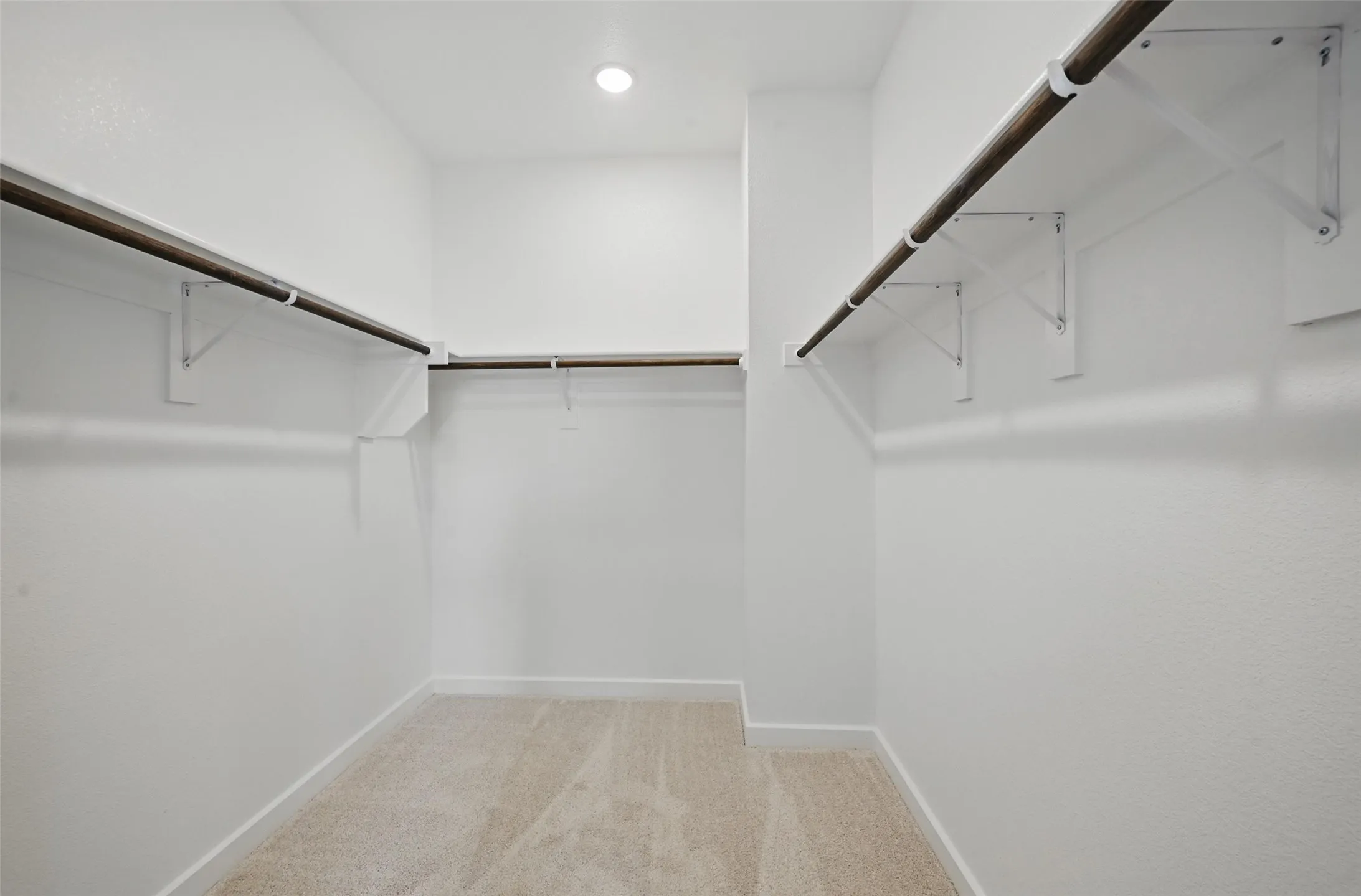 Walk-in closet featuring light beige carpeting, white walls, and built-in closet rods