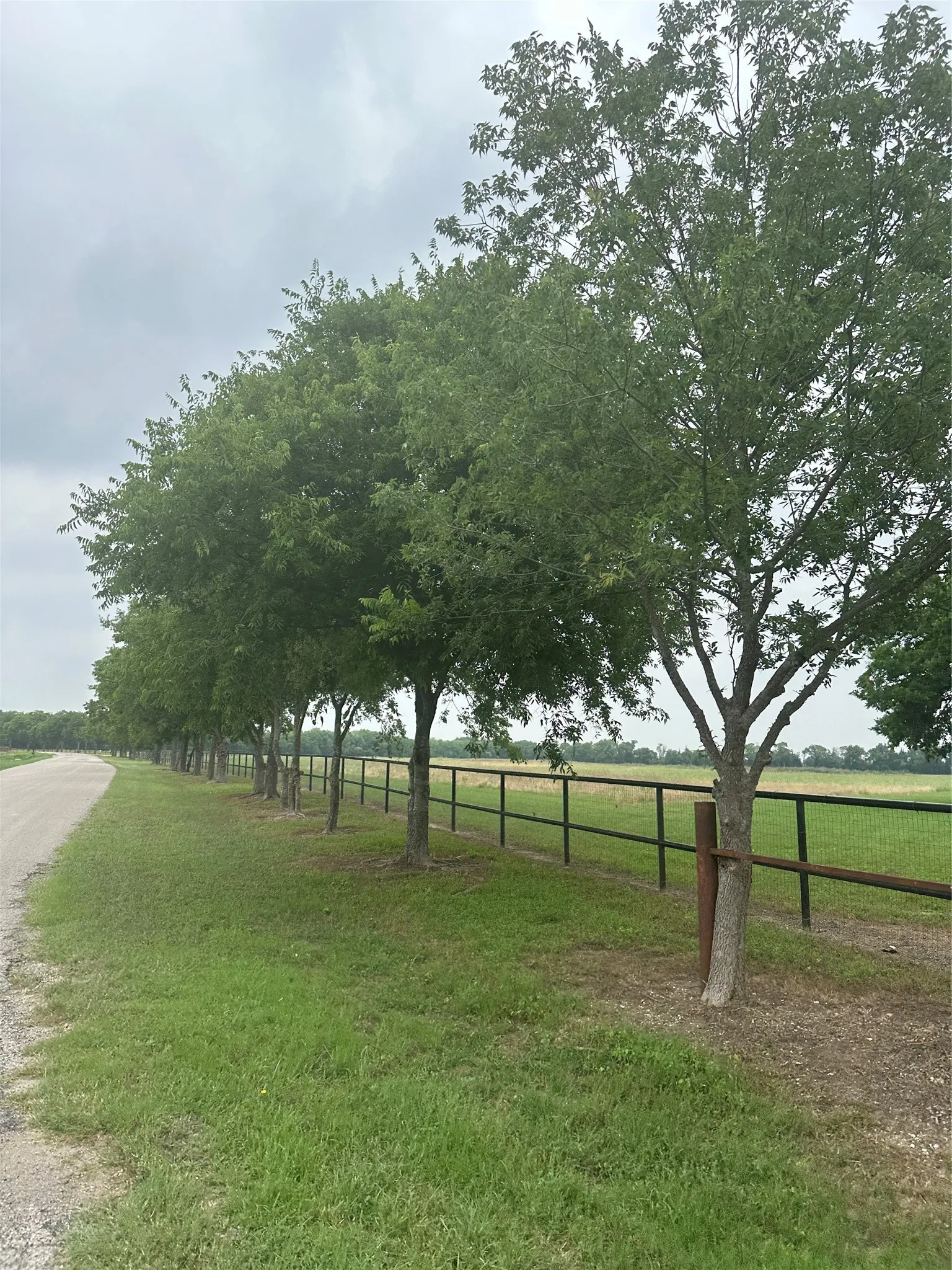 Unimproved Land For Sale in Ellis County , 4611 Stout Road, Midlothian, Texas 76065, 0, 0, Garage spaces, 0 Sqft, built in 0, Price $1,200,000, mls#21323881, Real Estate Agent in Midlothian, Homes For Sale in Ellis county, Homes For Sale in Midlothian, Realtor in Midlothian Texas, Real Estate Brokerage Independent Realty Texas, Luminita Cordes Realtor