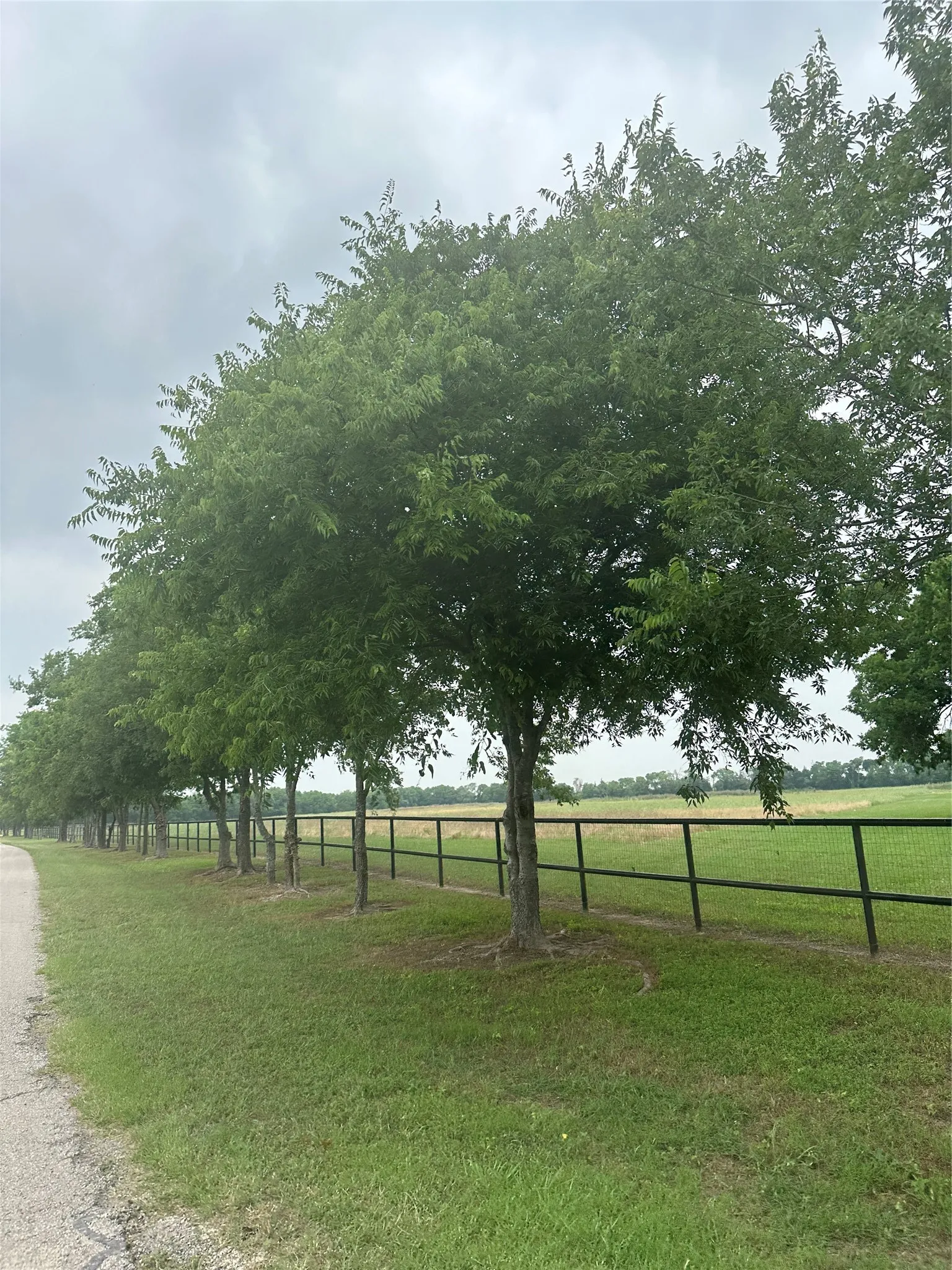 Unimproved Land For Sale in Ellis County , 4611 Stout Road, Midlothian, Texas 76065, 0, 0, Garage spaces, 0 Sqft, built in 0, Price $1,200,000, mls#21323881, Real Estate Agent in Midlothian, Homes For Sale in Ellis county, Homes For Sale in Midlothian, Realtor in Midlothian Texas, Real Estate Brokerage Independent Realty Texas, Luminita Cordes Realtor