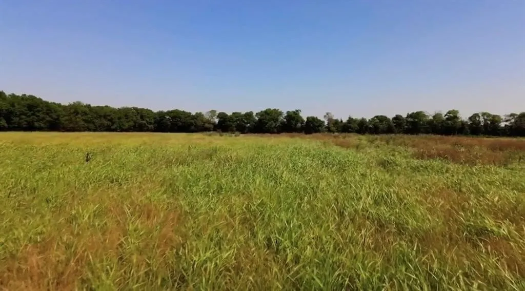Unimproved Land For Sale in Ellis County , 4611 Stout Road, Midlothian, Texas 76065, 0, 0, Garage spaces, 0 Sqft, built in 0, Price $1,200,000, mls#21323881, Real Estate Agent in Midlothian, Homes For Sale in Ellis county, Homes For Sale in Midlothian, Realtor in Midlothian Texas, Real Estate Brokerage Independent Realty Texas, Luminita Cordes Realtor